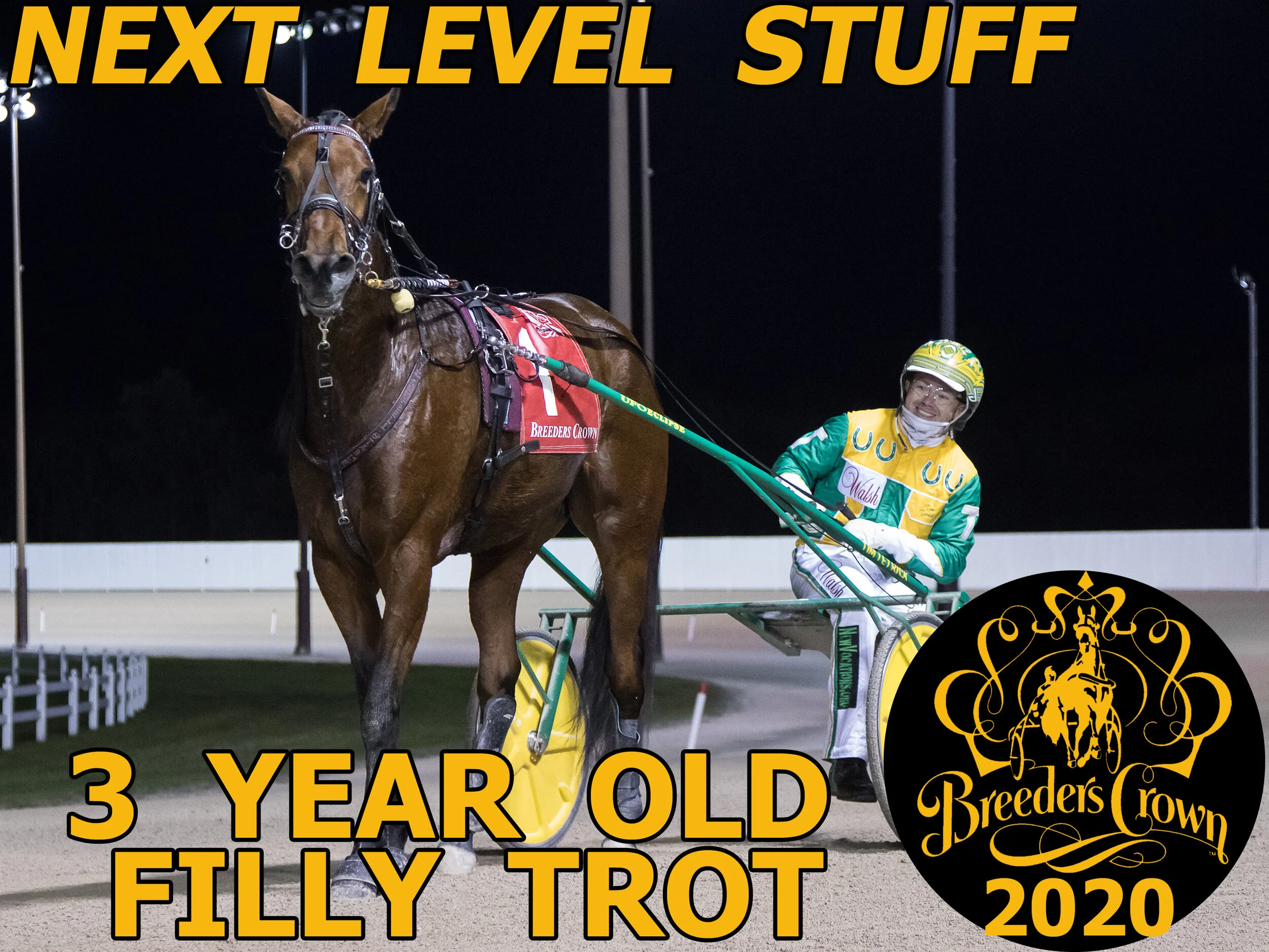 Next Level Stuff - 3FT