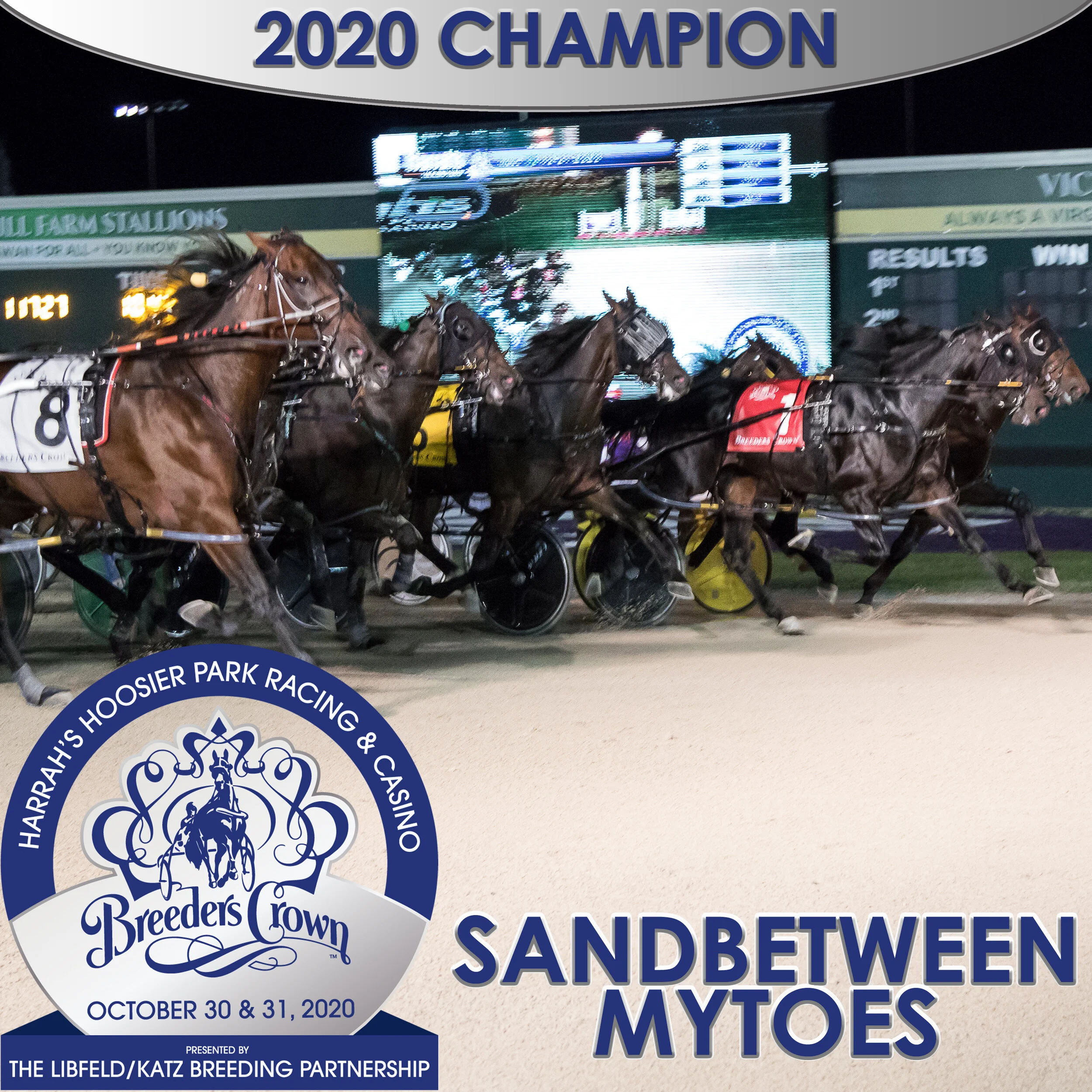 Sandbetweenmytoes shocks in Breeders Crown, upsets Tall Dark Stranger