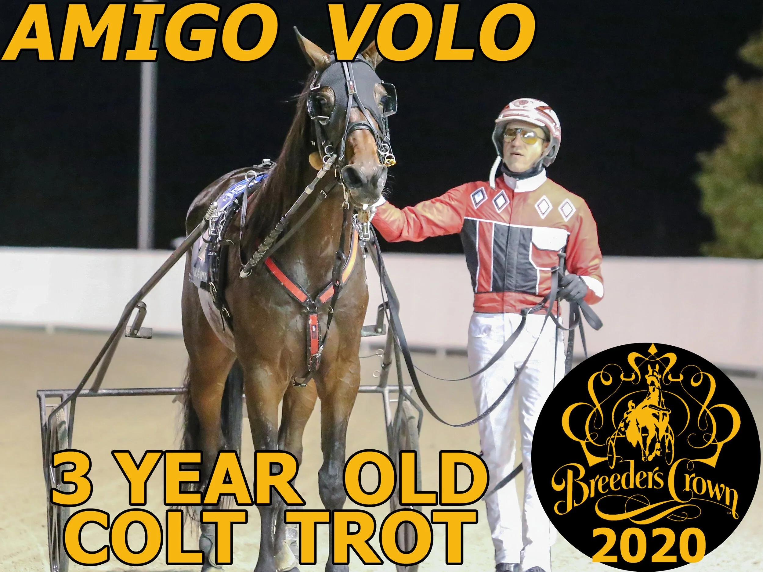 Amigo Volo - 3CT