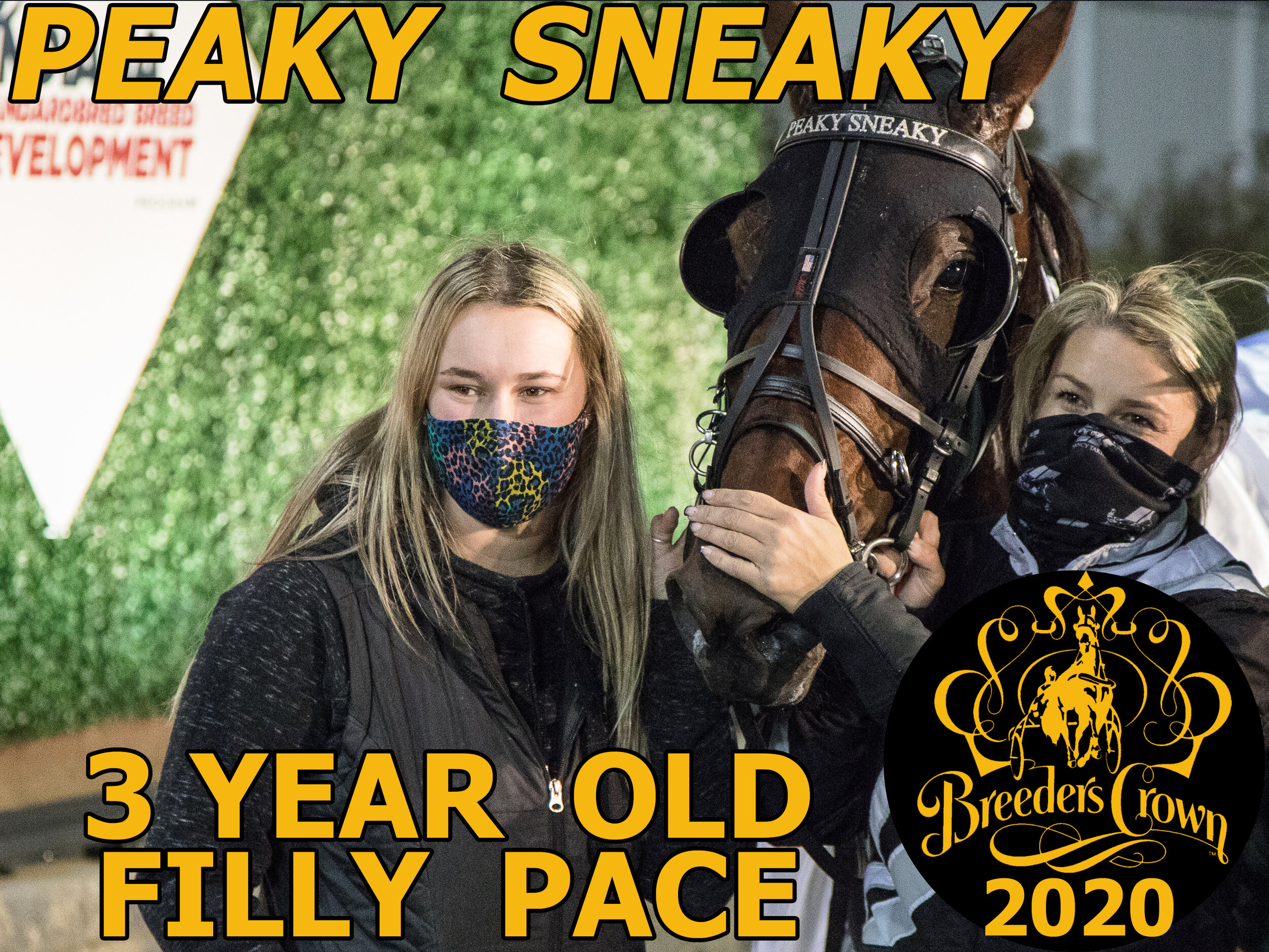 Peaky Sneaky - 3FP