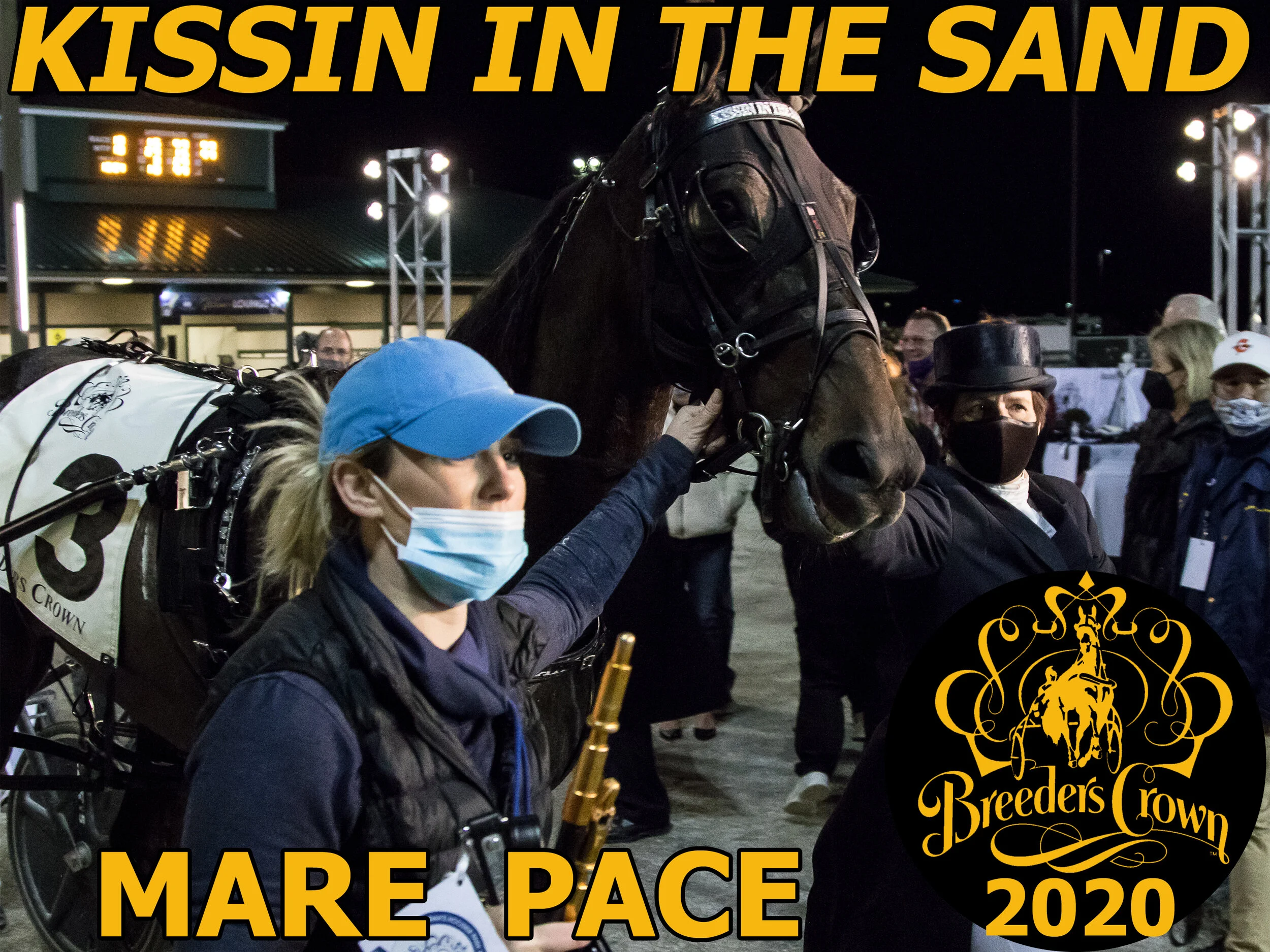 Kissin In The Sand - Mare Pace