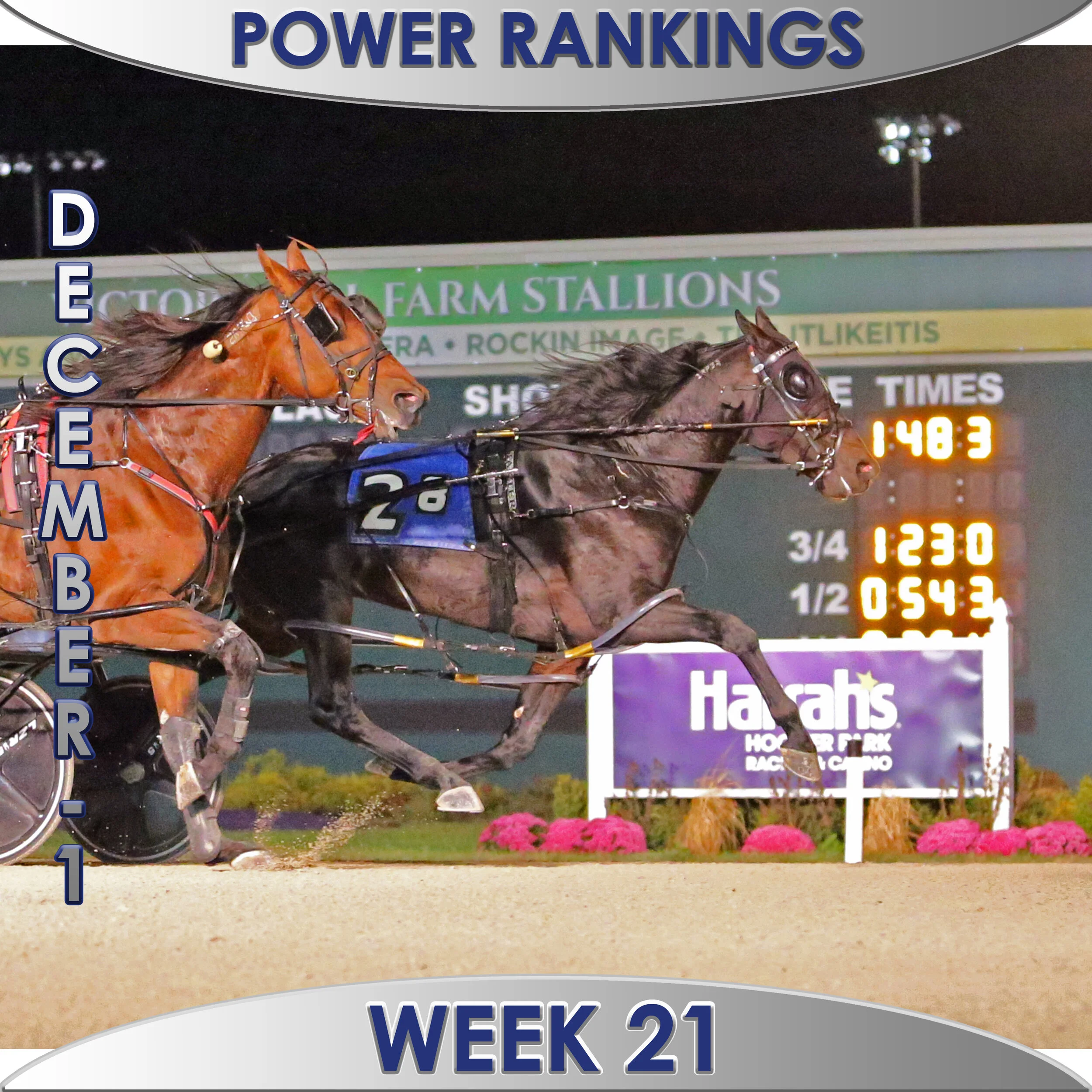  Tall Dark Stranger tops final poll of 2020