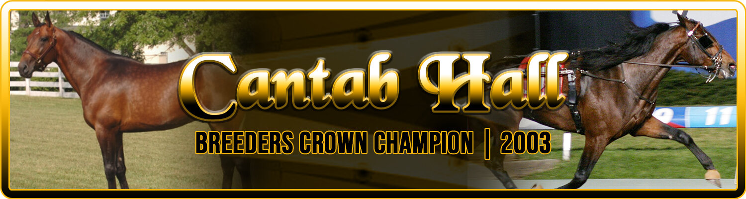 cantab hall banner.jpg