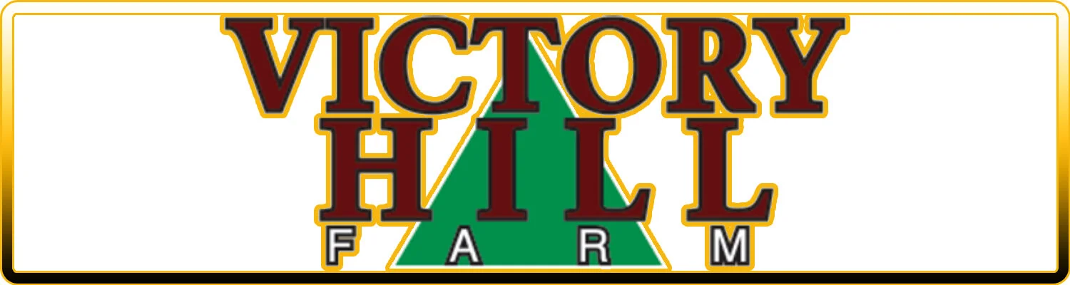 victory hill webpage banner.jpg