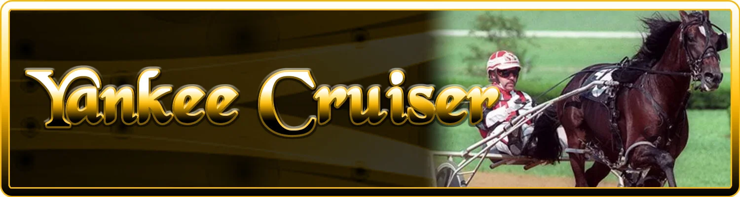 Yankee Cruiser