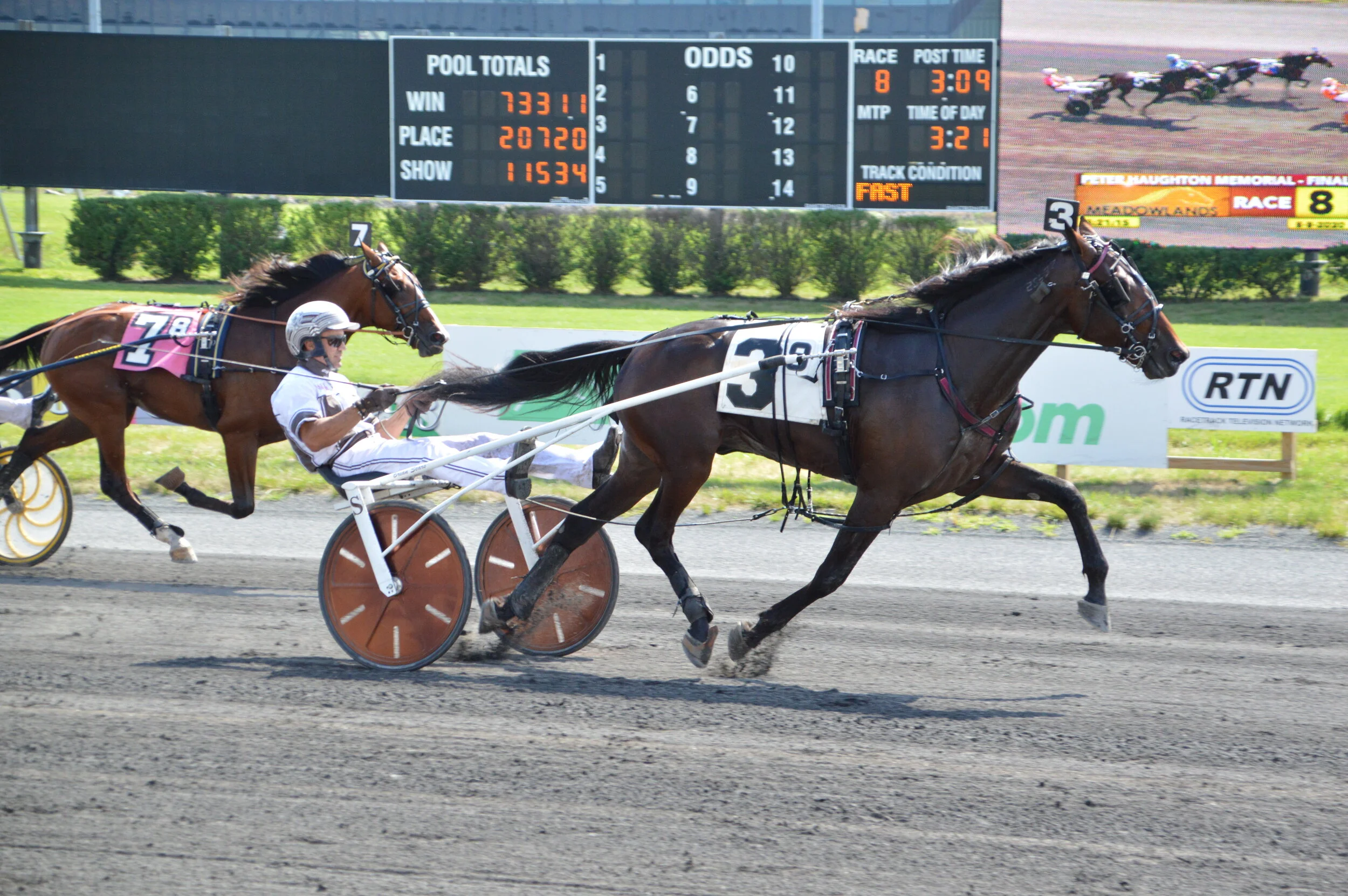 DSC_0945-Zenith Stride.JPG