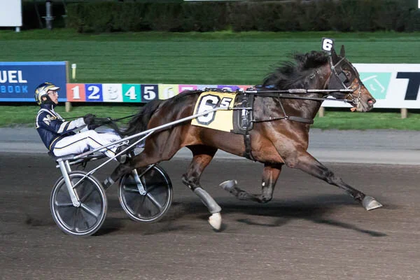 McCLURE GUIDES HAMBO HOPEFUL TO WIN AT BIG M — Hambletonian Society Inc