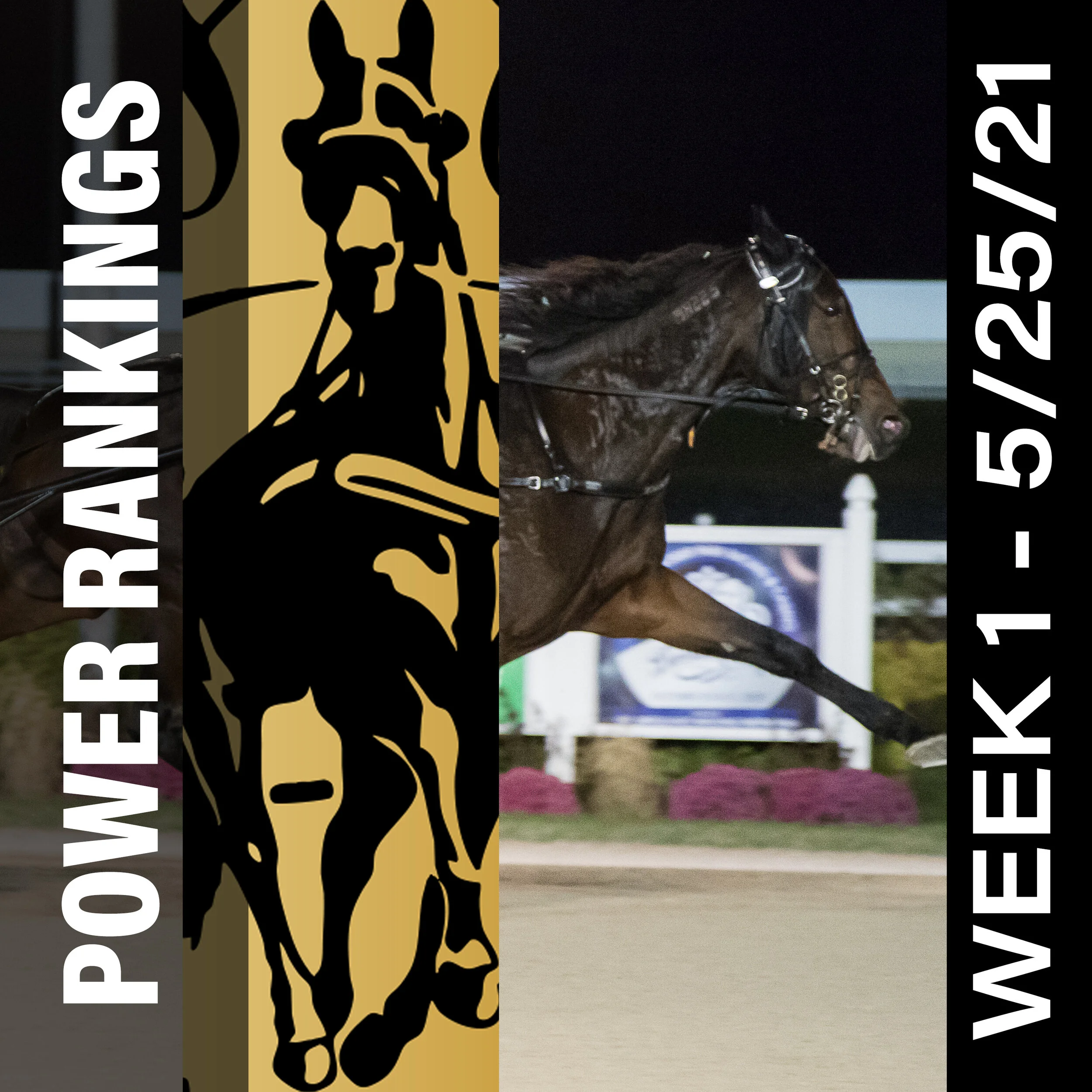 Manchego tops Hambletonian Society/Breeders Crown poll