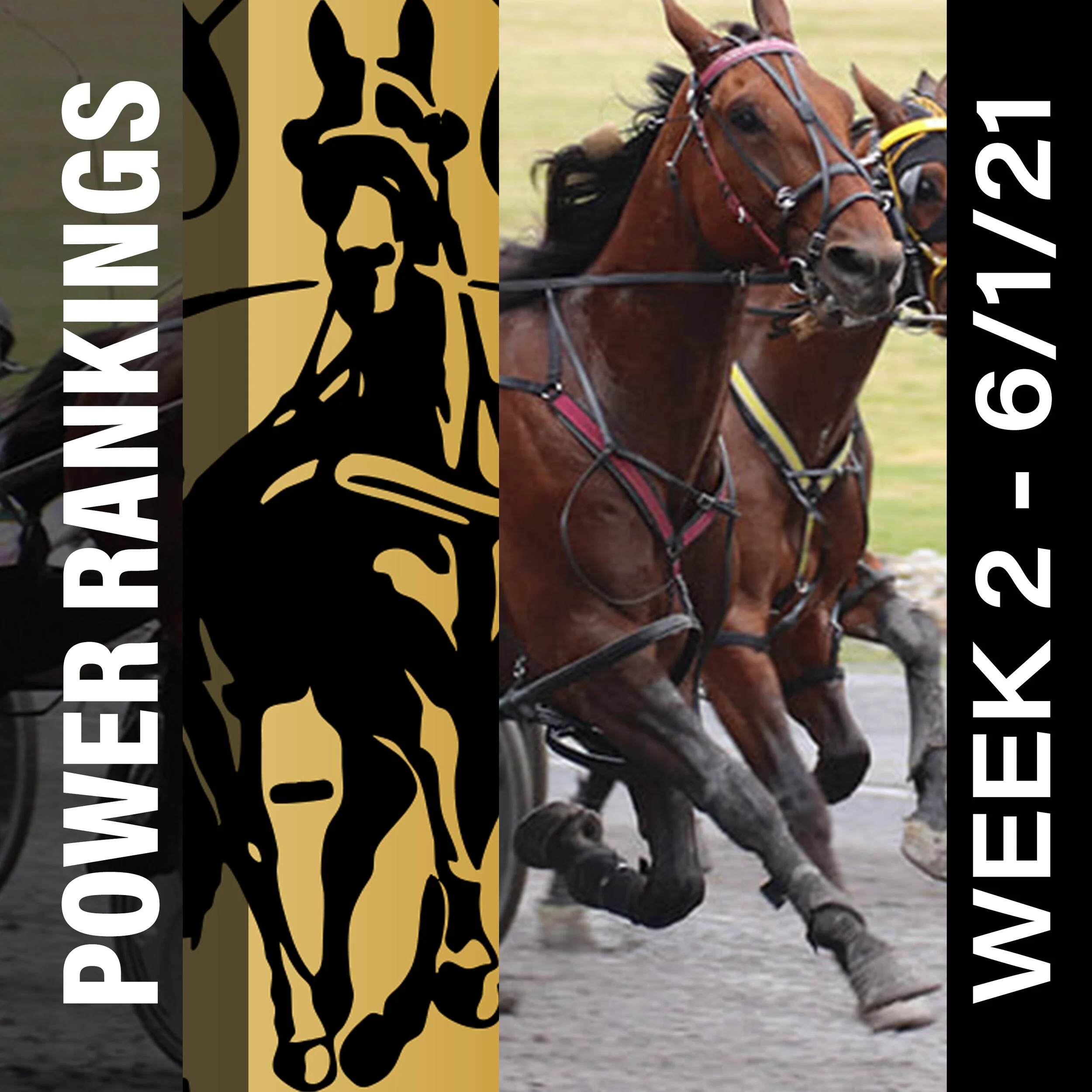 Manchego remains No. 1-ranked horse in Hambletonian Society/Breeders Crown poll