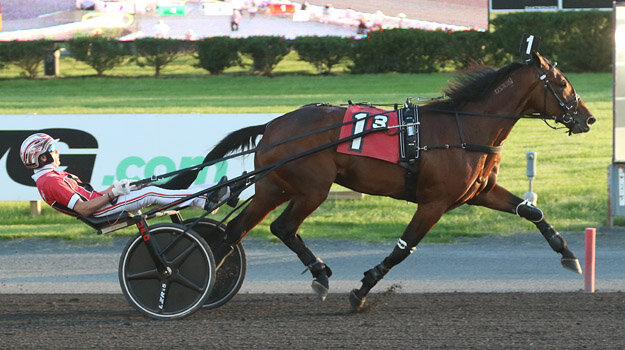 wb 051421r3 Lindysmusclemania.jpg