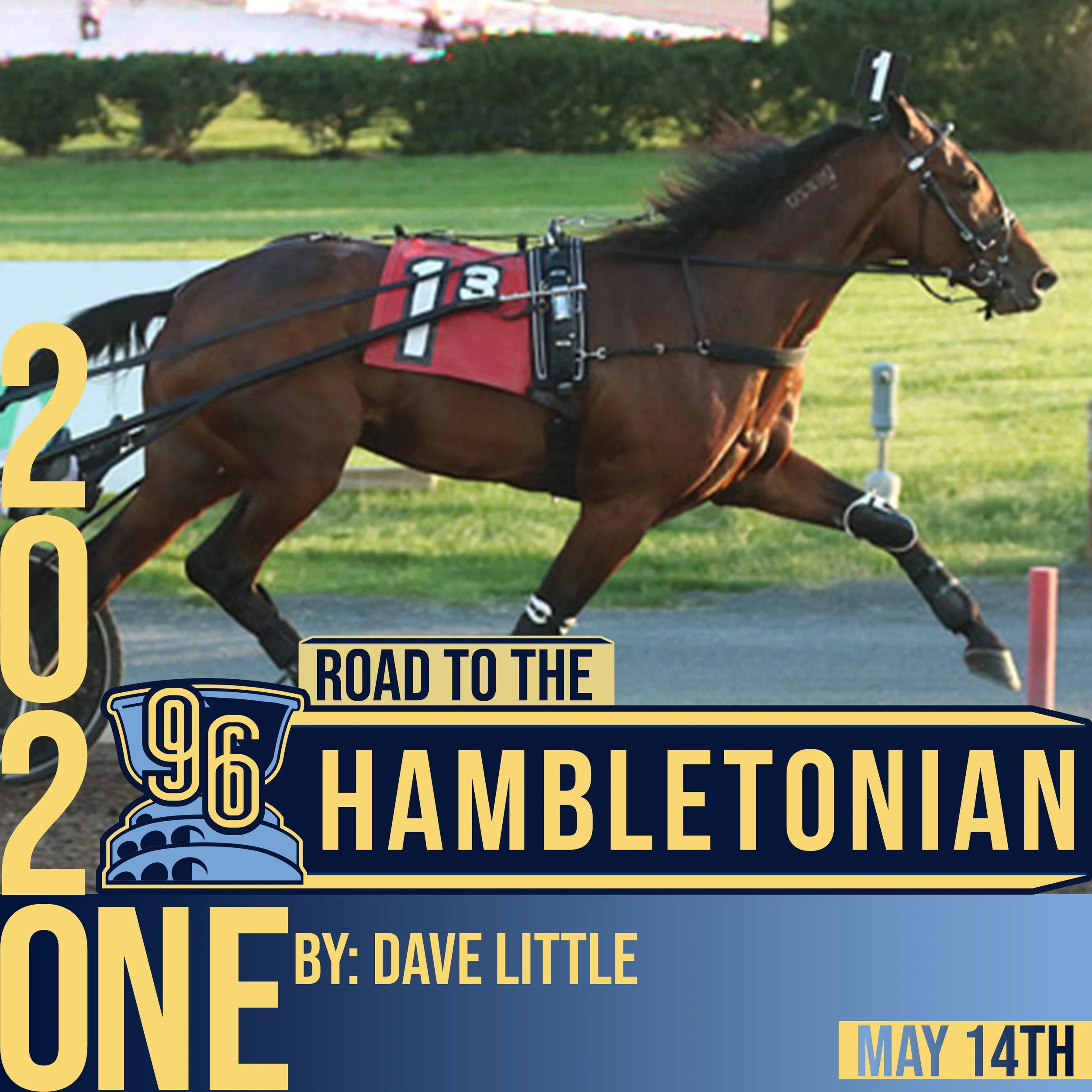 ‘LINDY’ FLEXES ‘MUSCLE’ IN NJSS AT BIG M