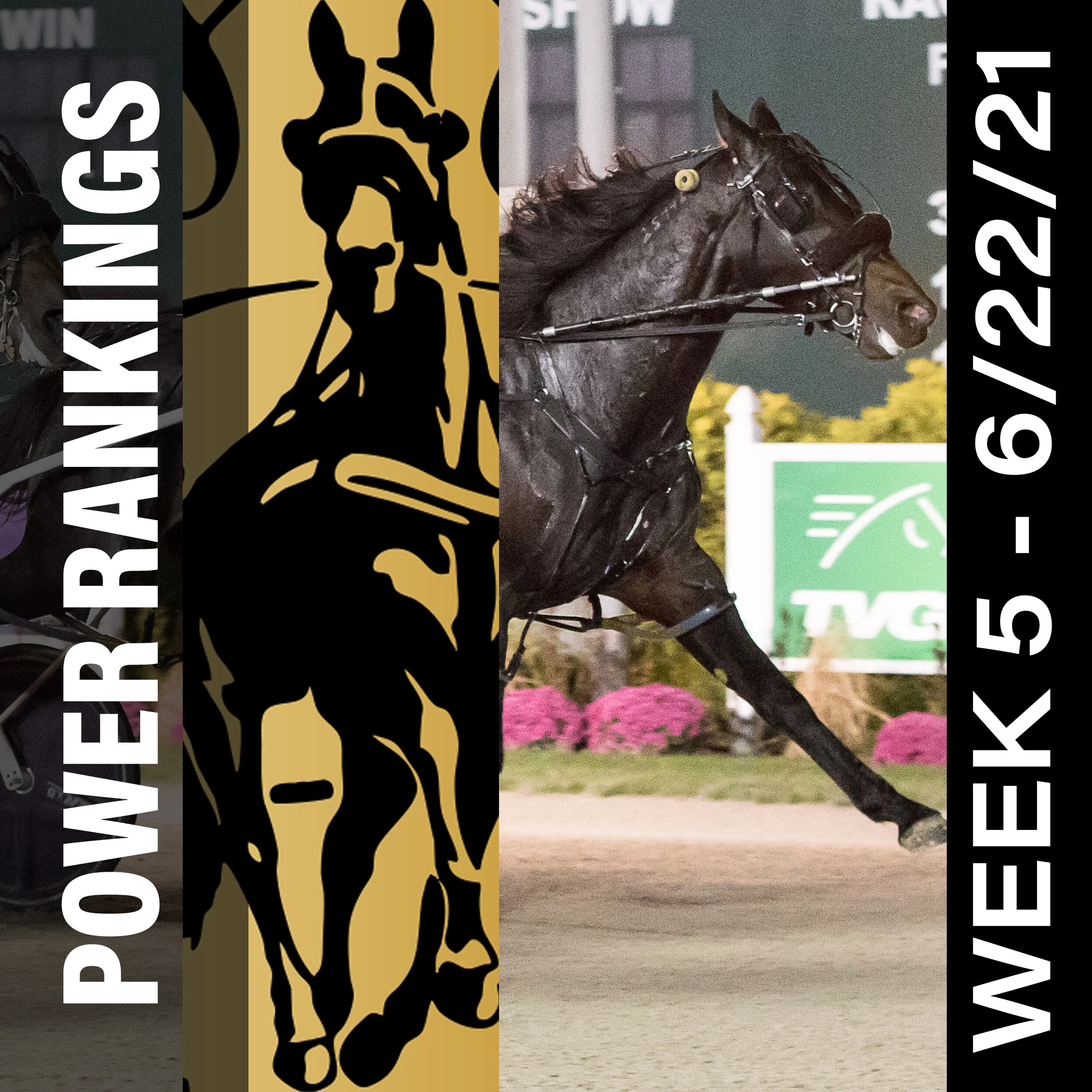  Trio of newcomers enter Top 10 in the Hambletonian Society/Breeders Crown poll