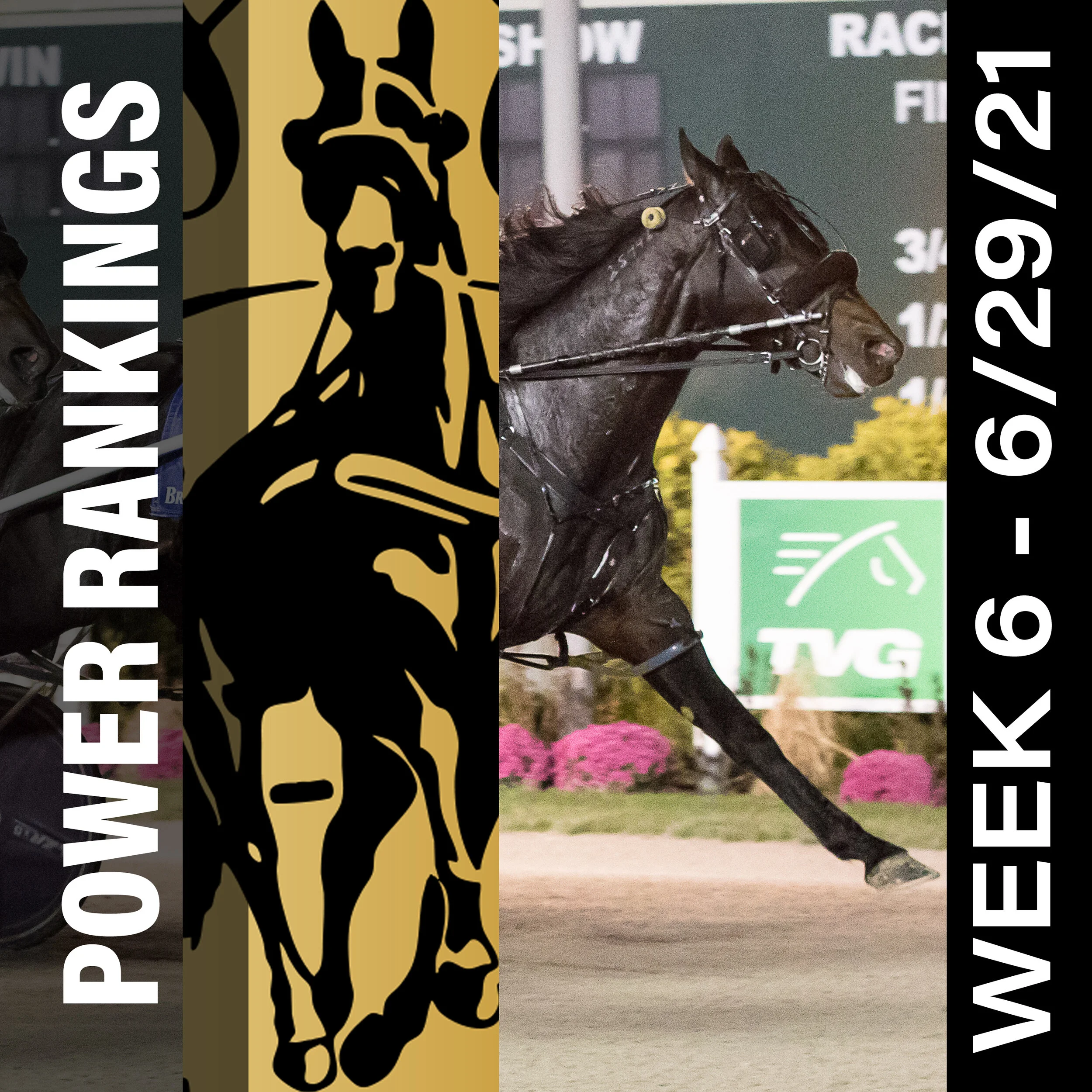  Pair of sophomore female pacers join Top 10 in Hambletonian Society/Breeders Crown poll
