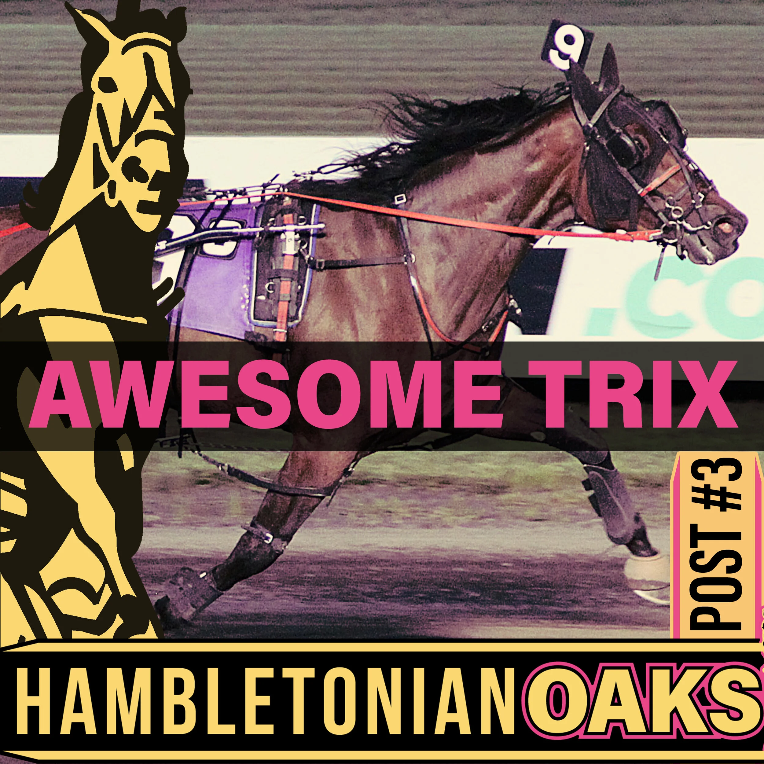 2021 entry oaks final awesome trix.jpg