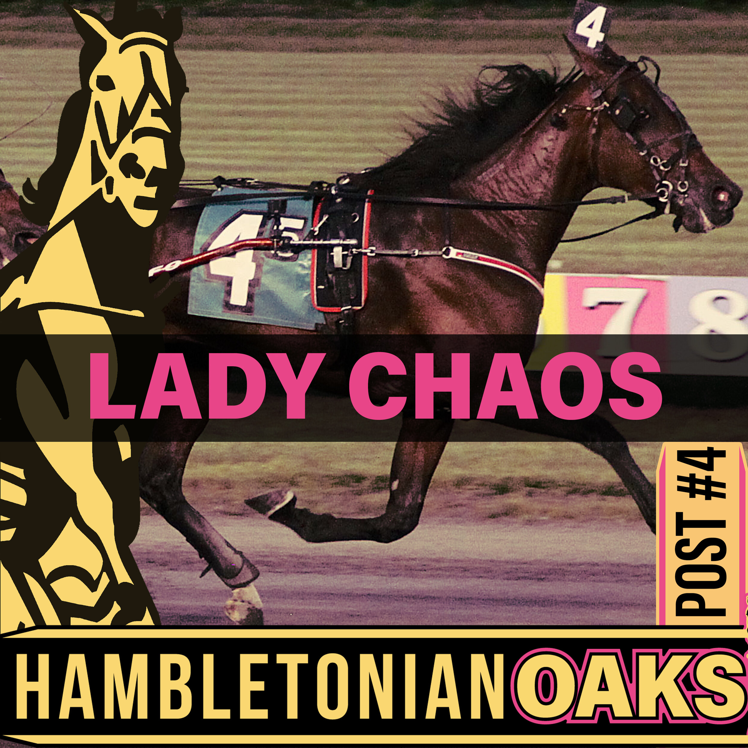 2021 entry oaks final lady chaos.jpg
