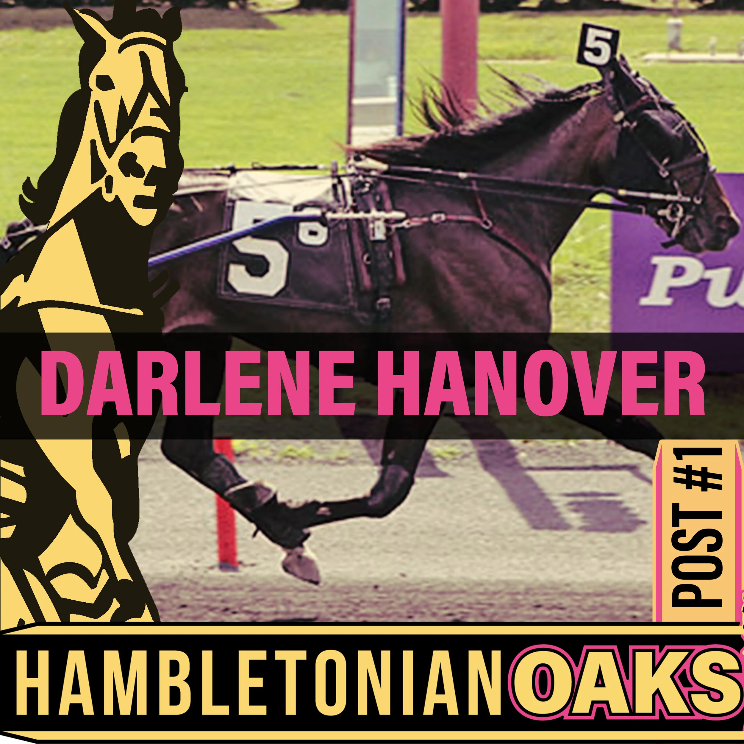 2021 entry oaks final darlene.jpg