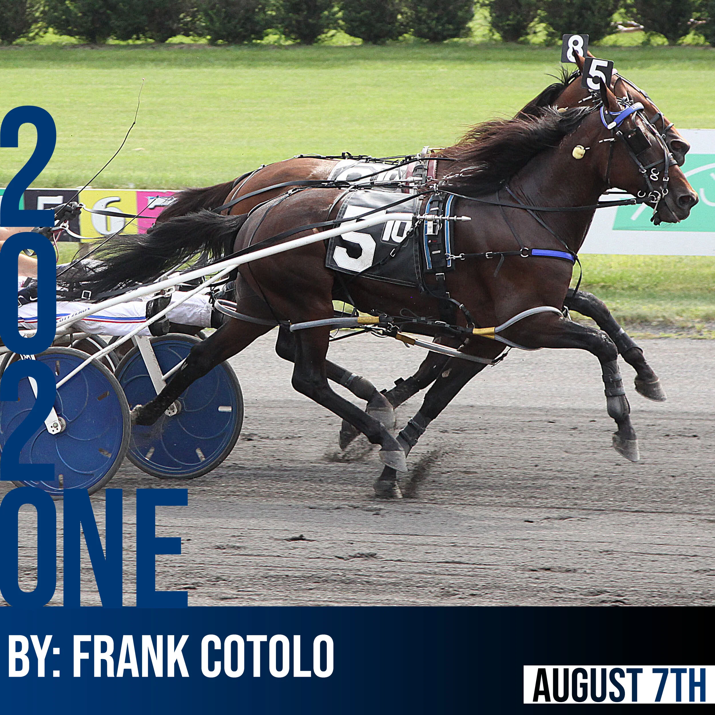 Catch The Fire, Allywag Hanover rally to victory in McKee