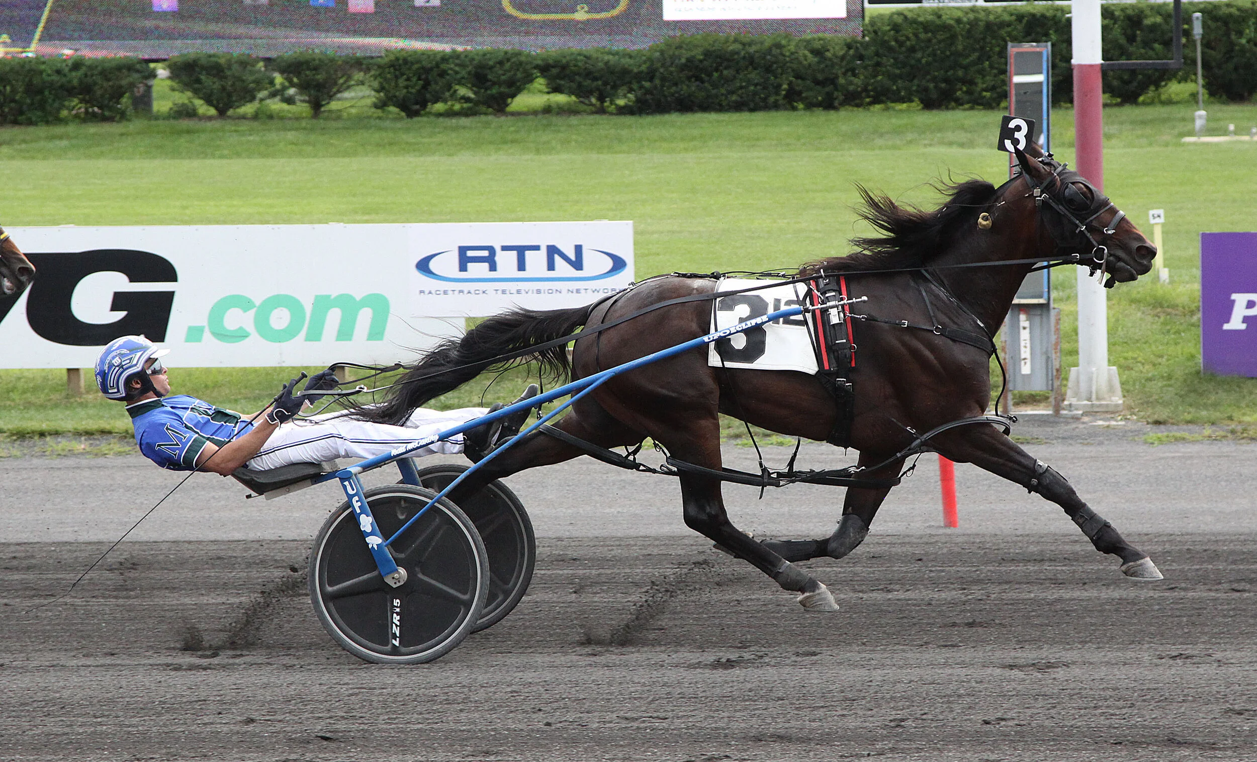 080721r12 ALLYWAG HANOVER.jpg