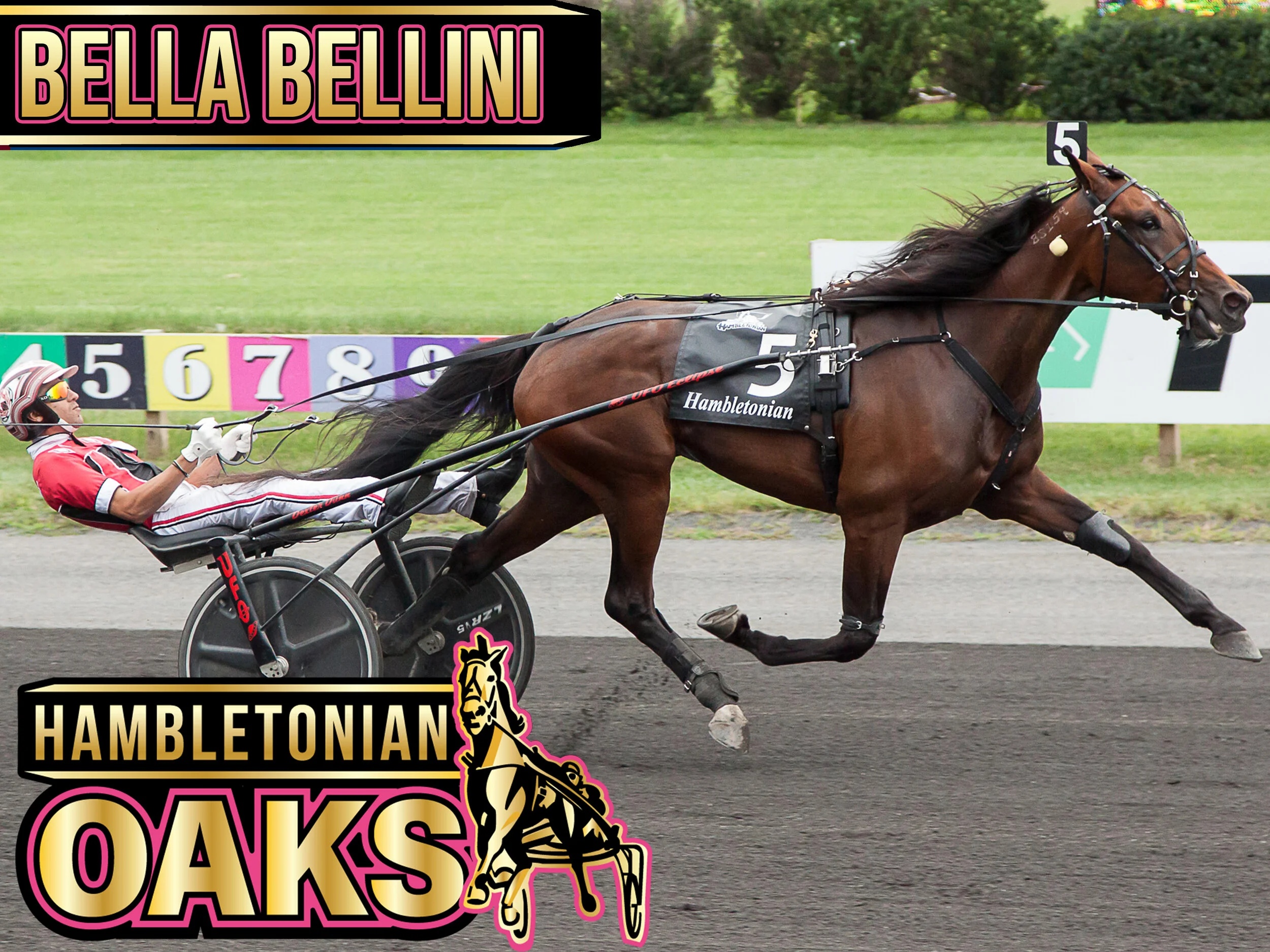 Bella Bellini - 2021