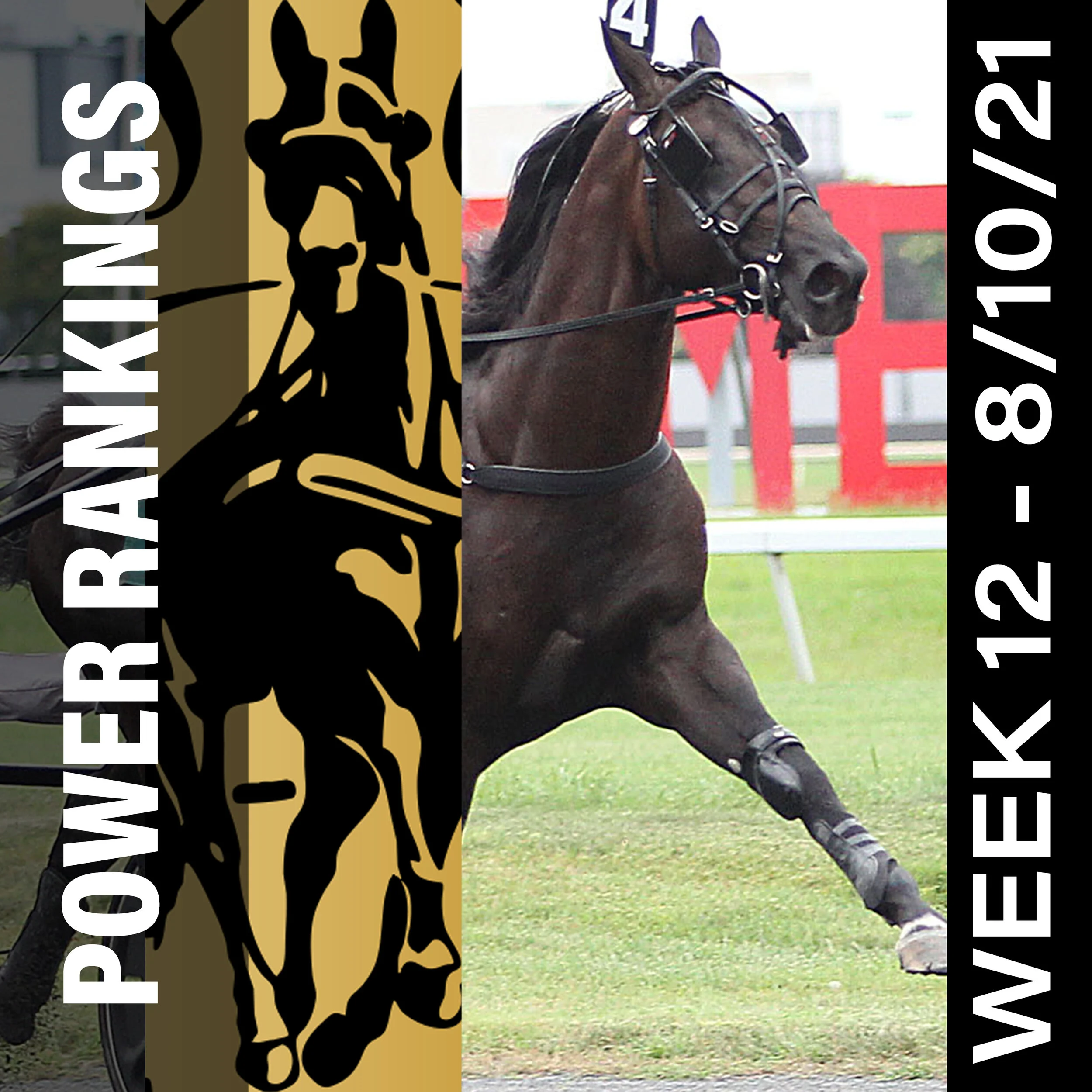  Hambletonian Day winners shine in Hambletonian Society/Breeders Crown poll