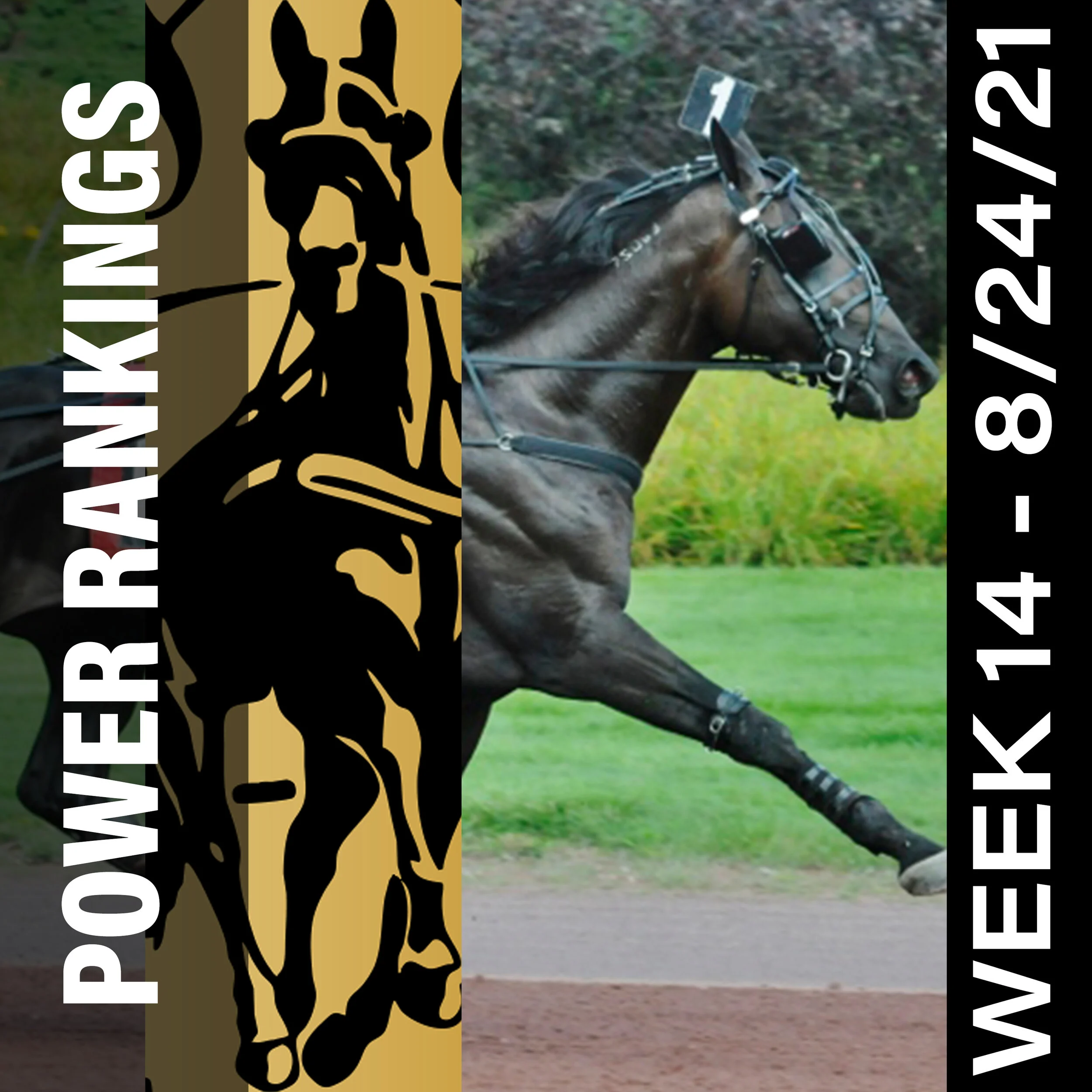 Captain Corey narrows gap in Hambletonian Society/Breeders Crown poll