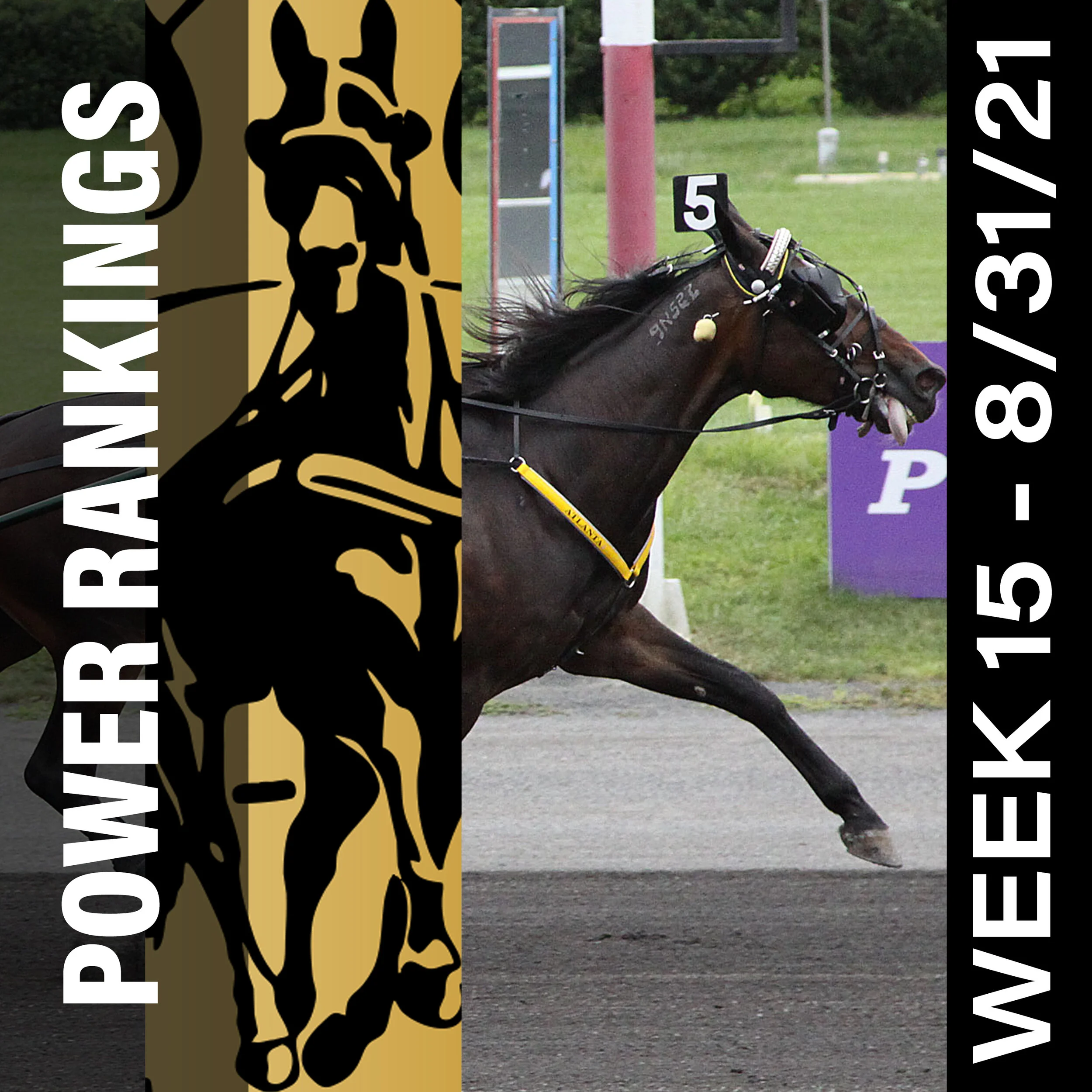  Test Of Faith climbs into top five in Hambletonian Society/Breeders Crown poll