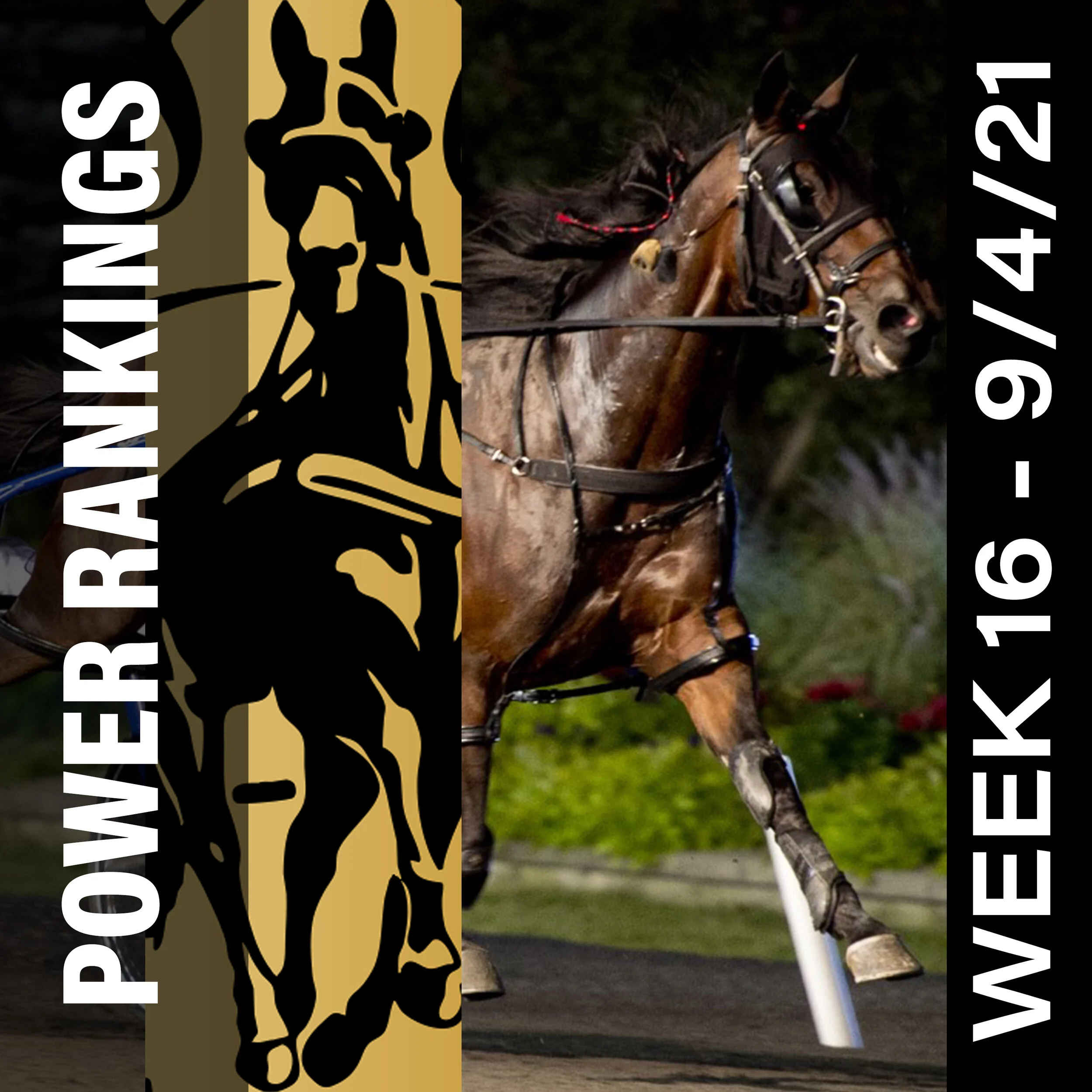 Captain Corey takes over top spot in Hambletonian Society/Breeders Crown Poll