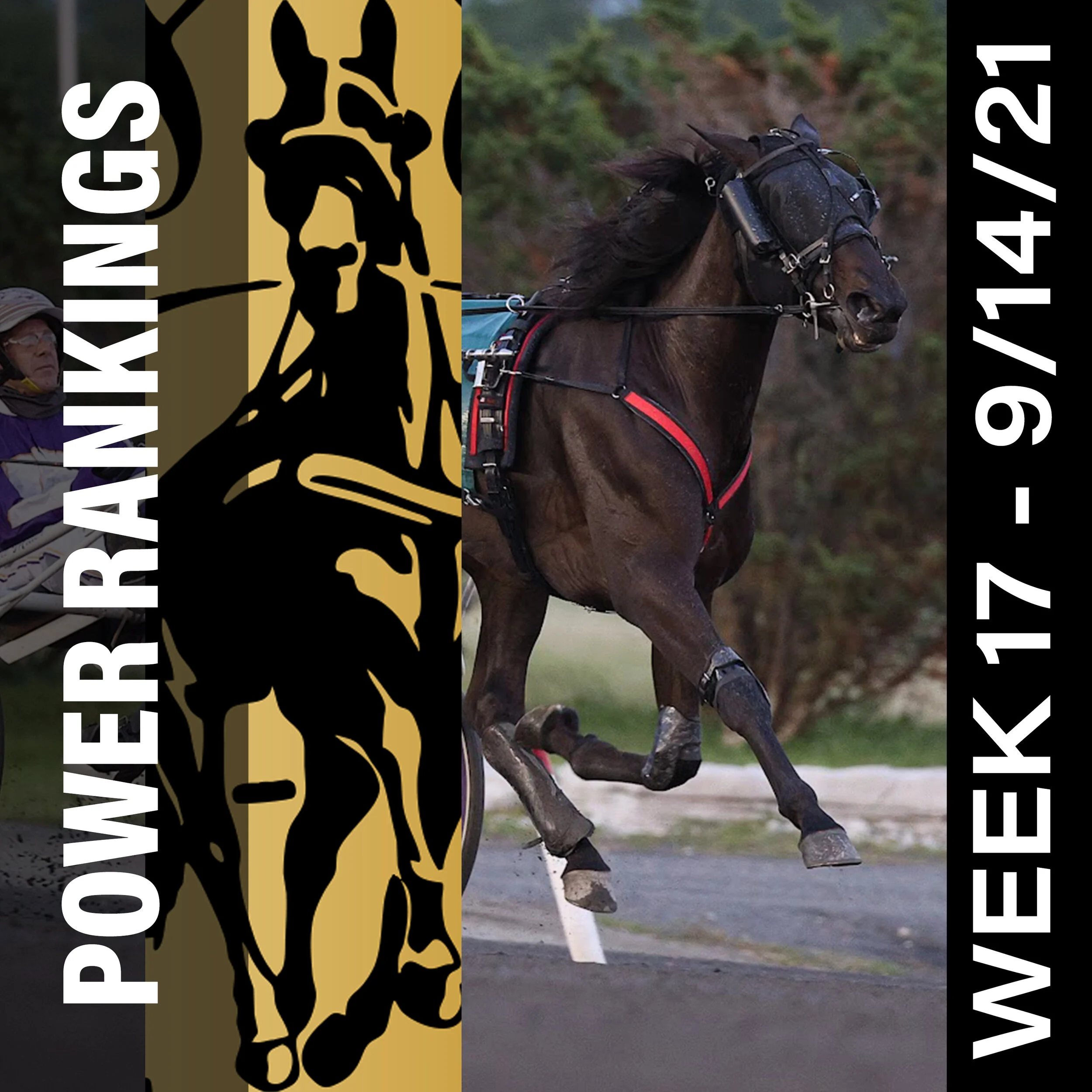 Venerable and King Of The North return to Hambletonian Society/Breeders Crown poll Top 10