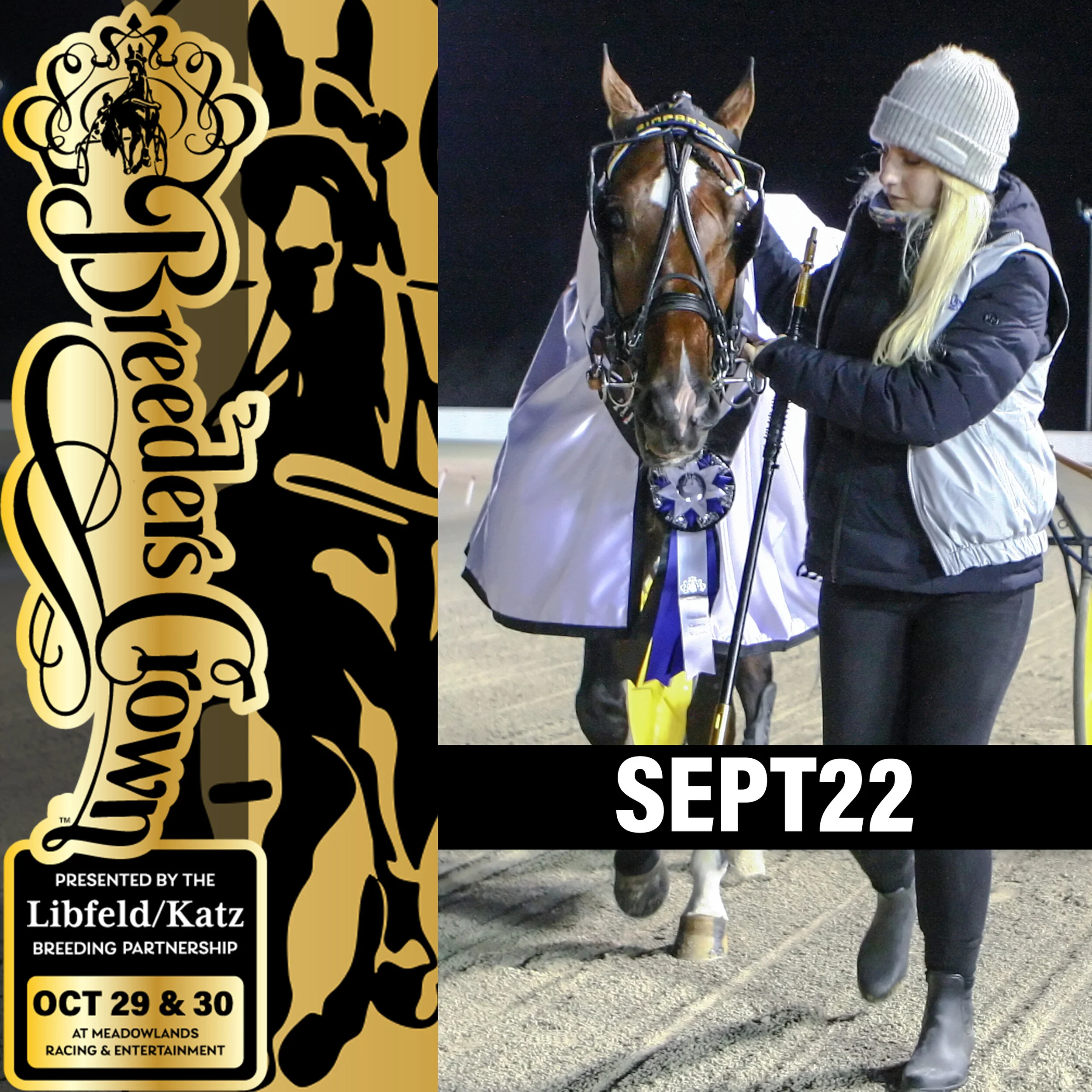 Industry Support of Breeders Crown Program Generates Purse Hikes; Three-Year-Old &amp; Open Pace &amp; Trot Purses Raised to $600,000