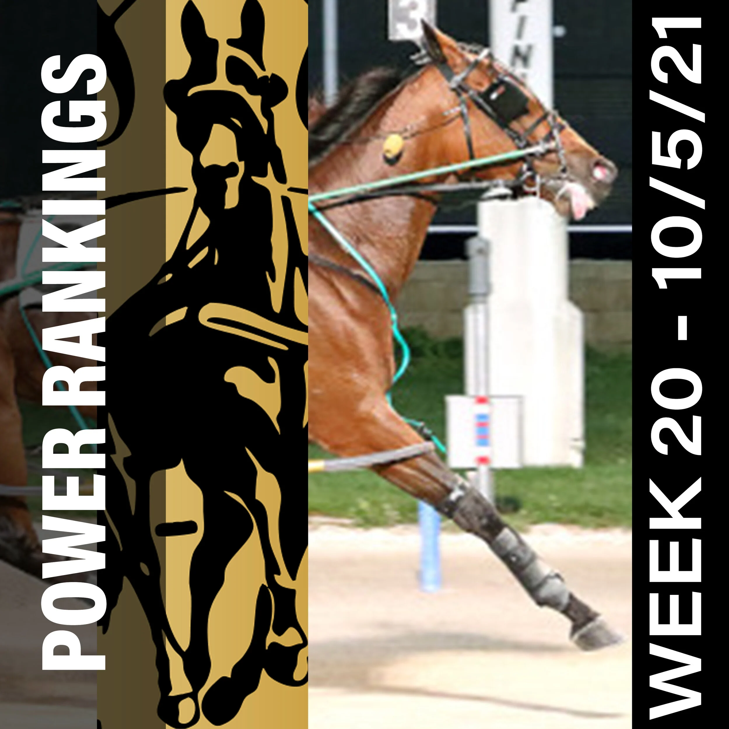  Lyons Sentinel remains on top of Hambletonian Society/Breeders Crown Poll