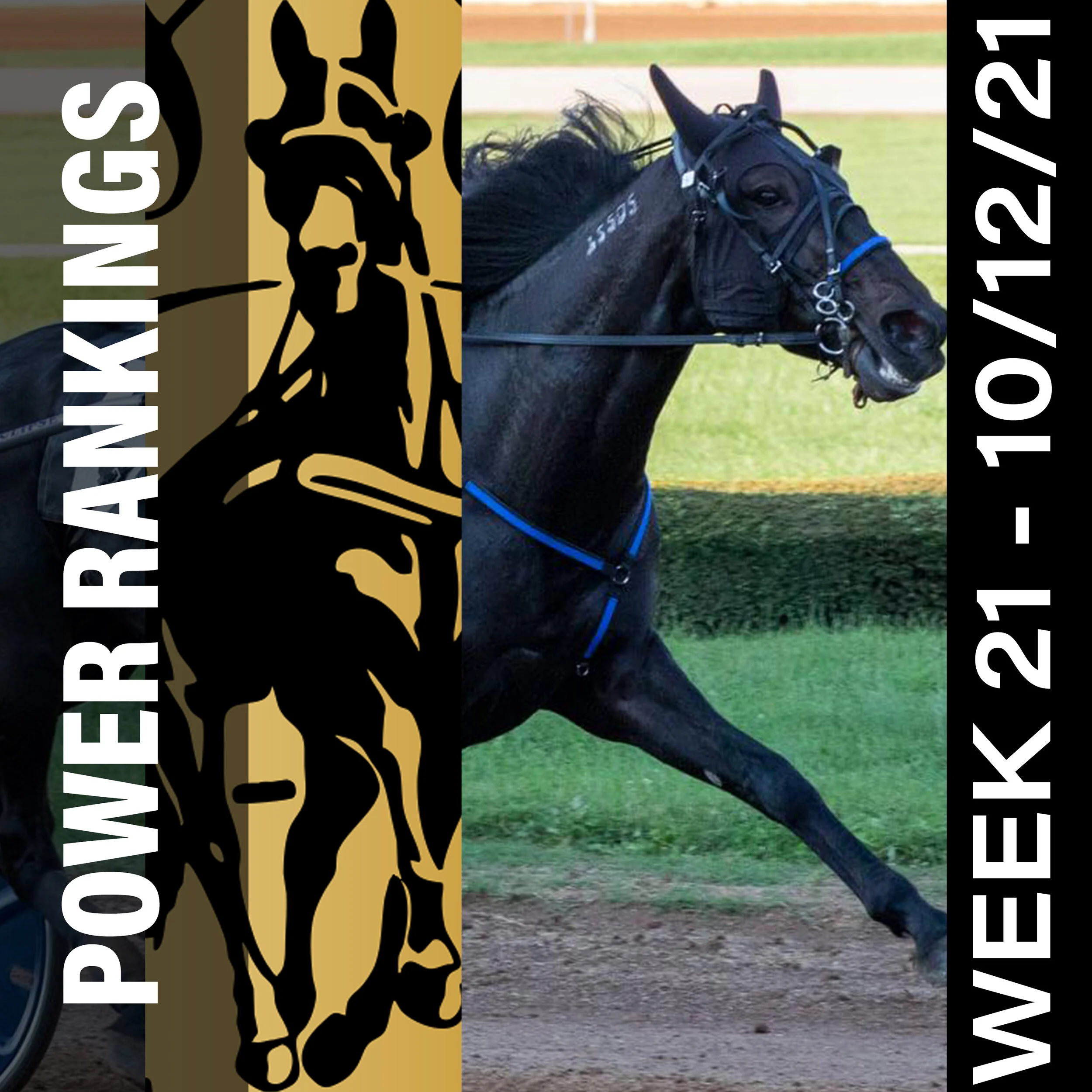 Jujubee and Atlanta are newcomers to this week’s Hambletonian Society/Breeders Crown poll Top 10