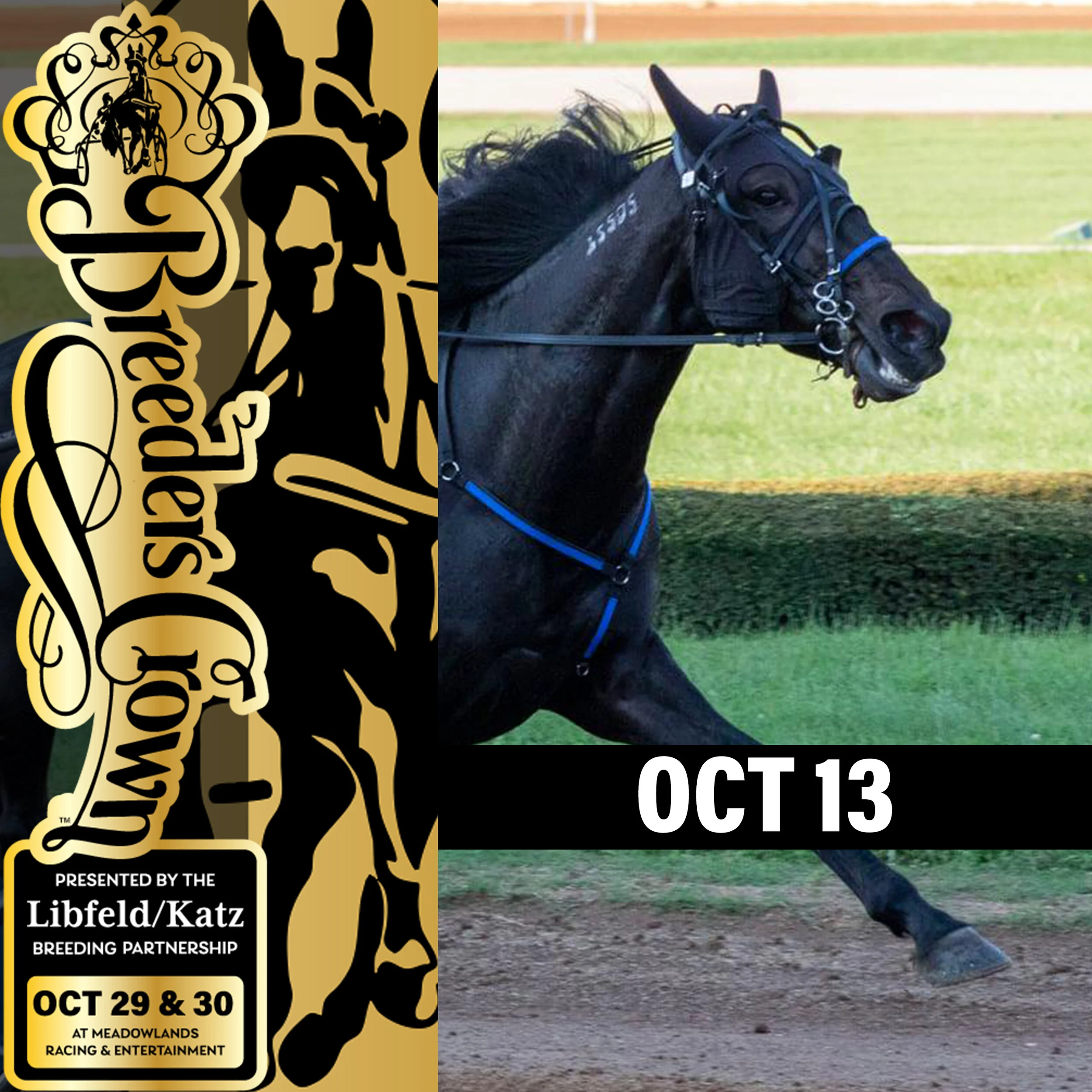 Breeders Crown Supplementals and Entry Box Approaching