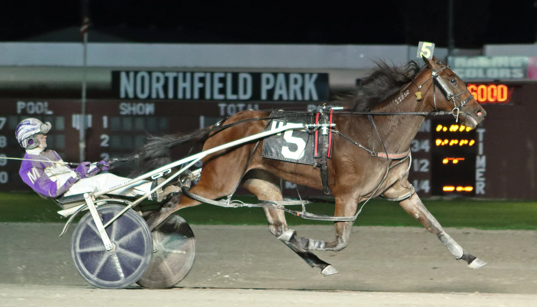 Test Of Faith Wins 100 000 Courageous Lady At Mgm Northfield Park Hambletonian Society
