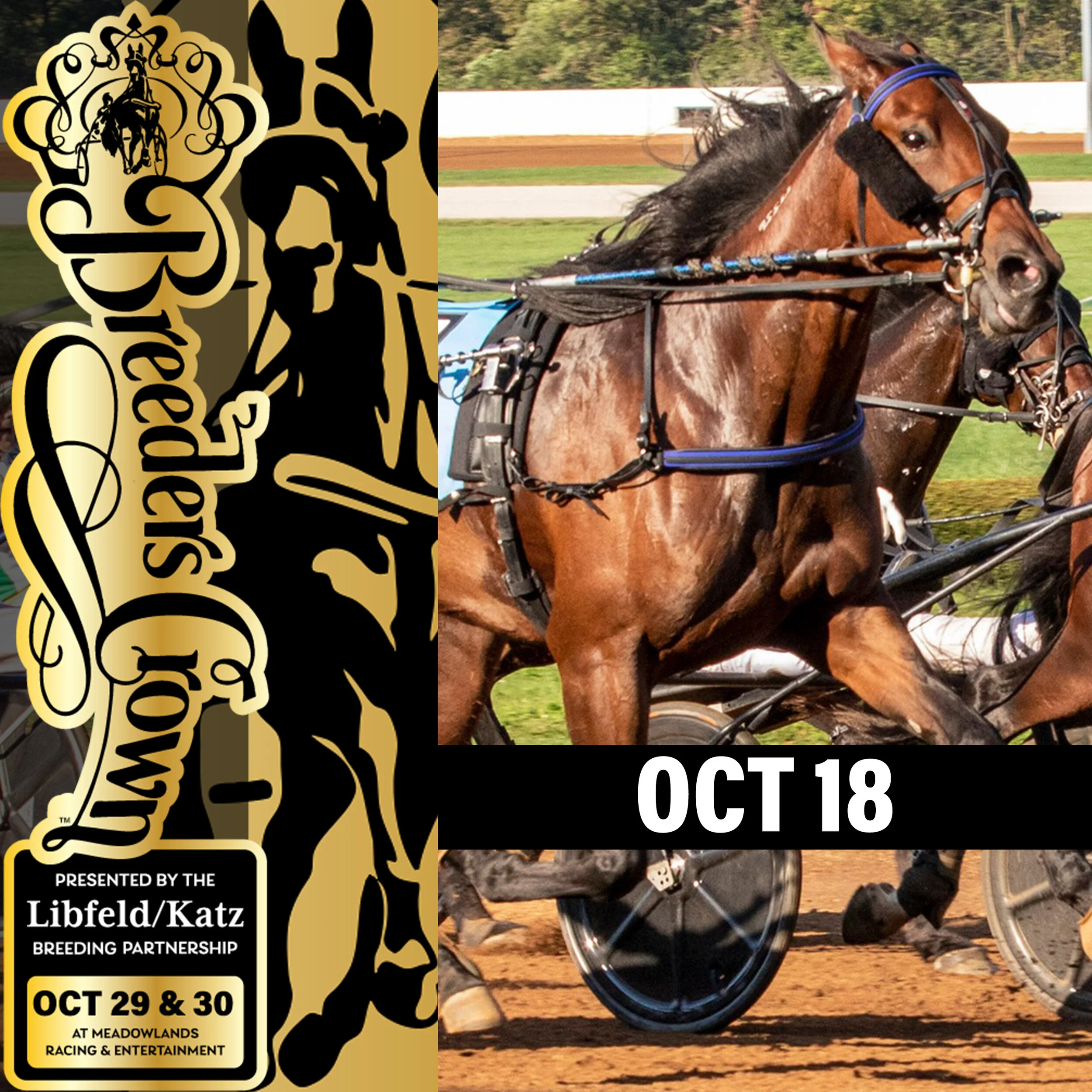FOUR SUPPLEMENT TO $6.6 MILLION BREEDERS CROWN EVENTS AT MEADOWLANDS RACETRACK