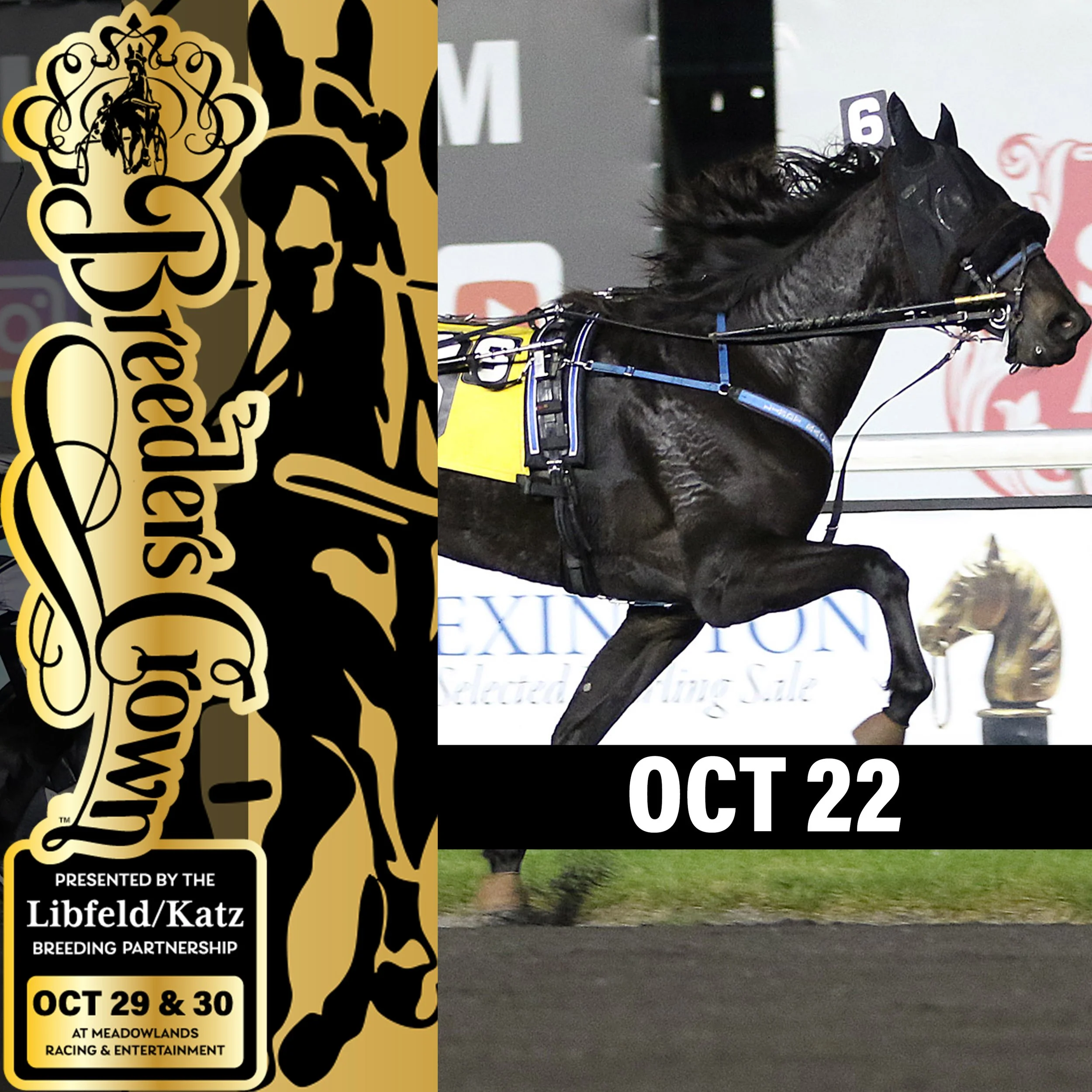 2021 Breeders Crown Elim Friday Recap