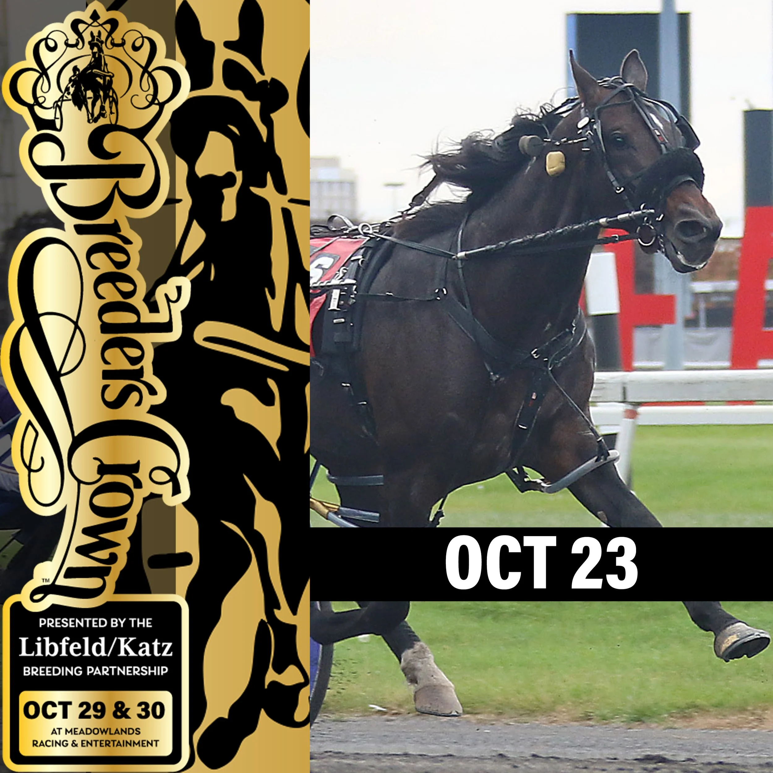 2021 Breeders Crown Elim Saturday Recap