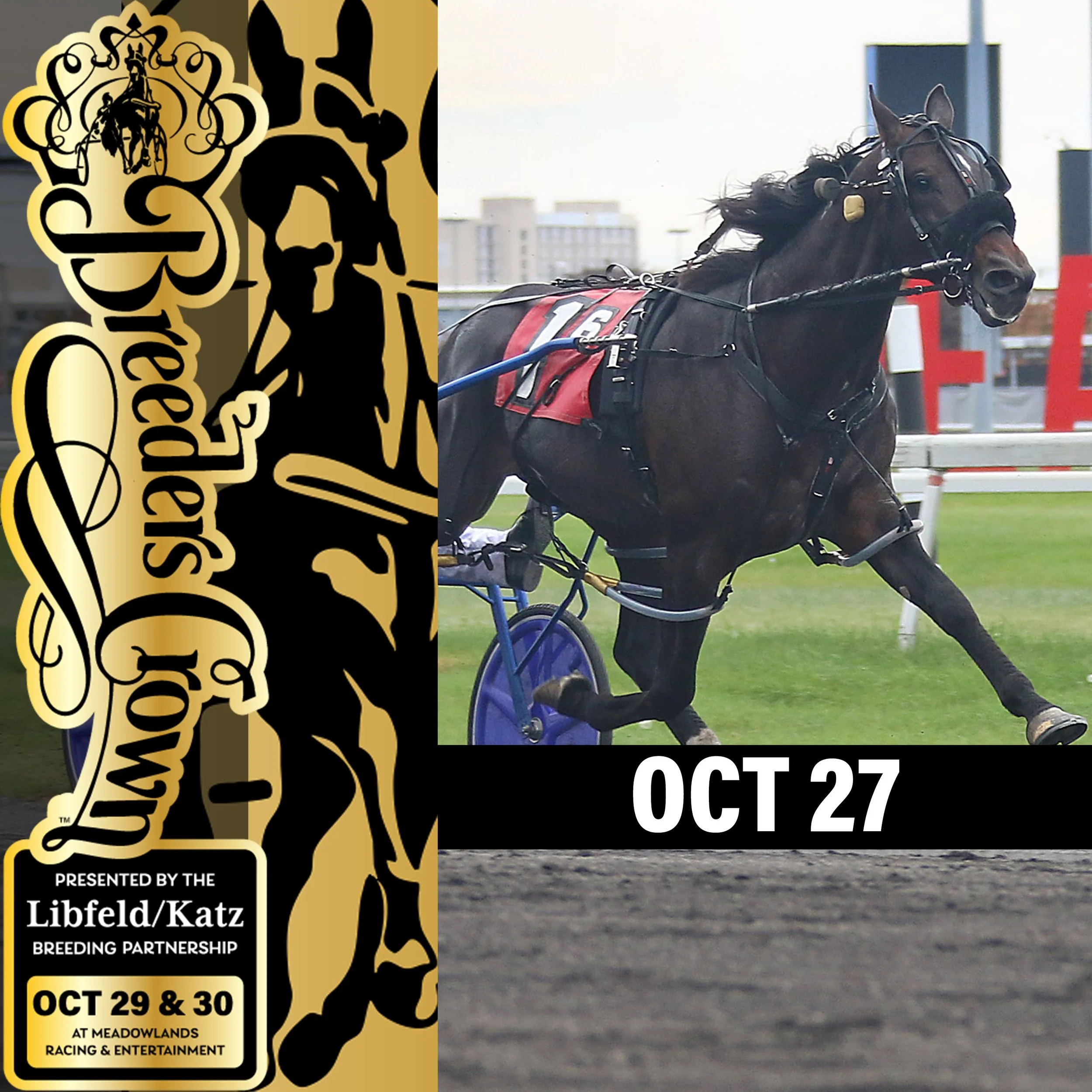 ‘STING’, JUJUBEE FAVORED IN 3YO MALE CROWNS
