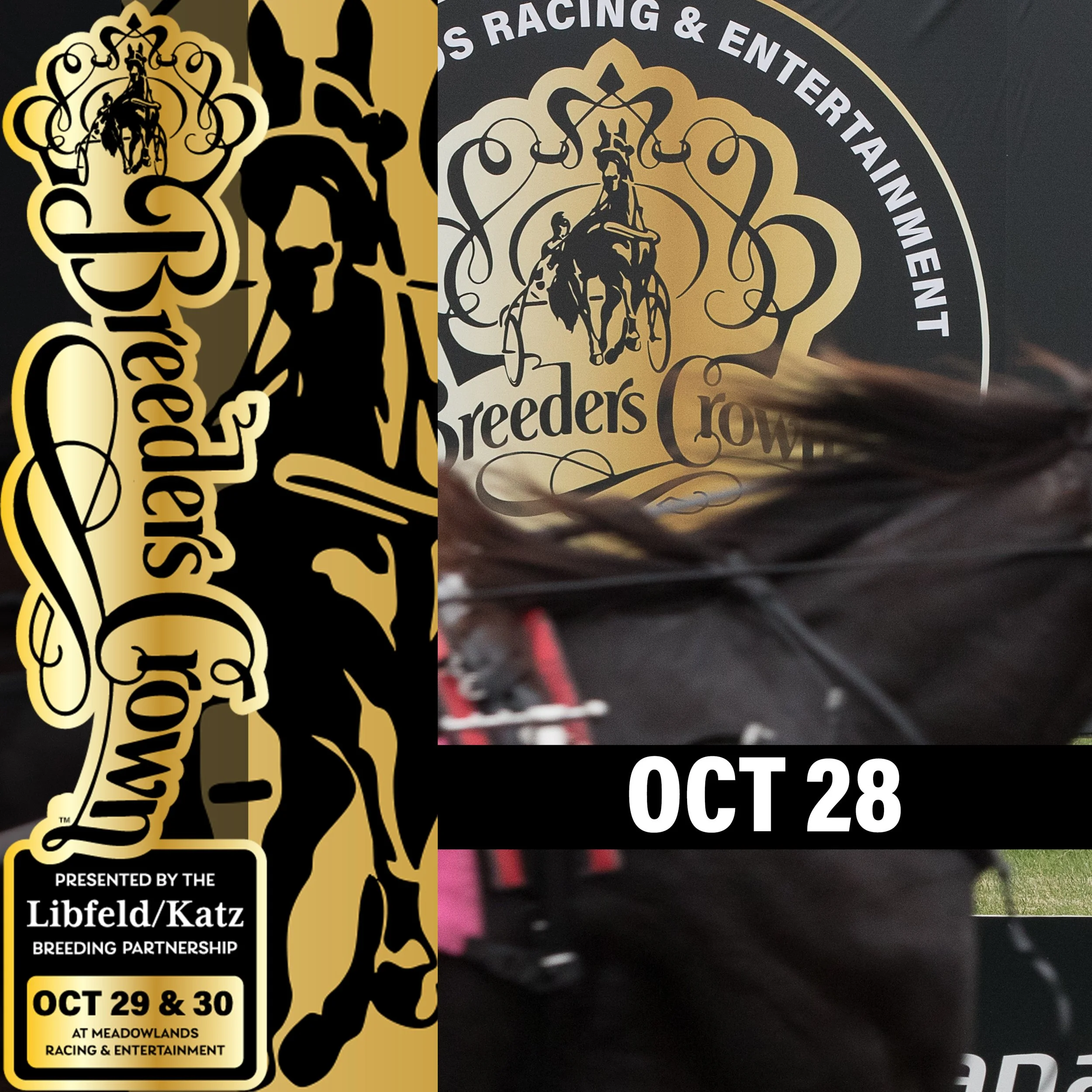 MEADOWLANDS RACETRACK, FANDUEL SPORTSBOOK, AND  THIS WEEKEND’S BREEDERS CROWN CHAMPIONSHIP BRING  MUCH NEEDED ECONOMIC ACTIVITY TO NORTHERN NEW JERSEY