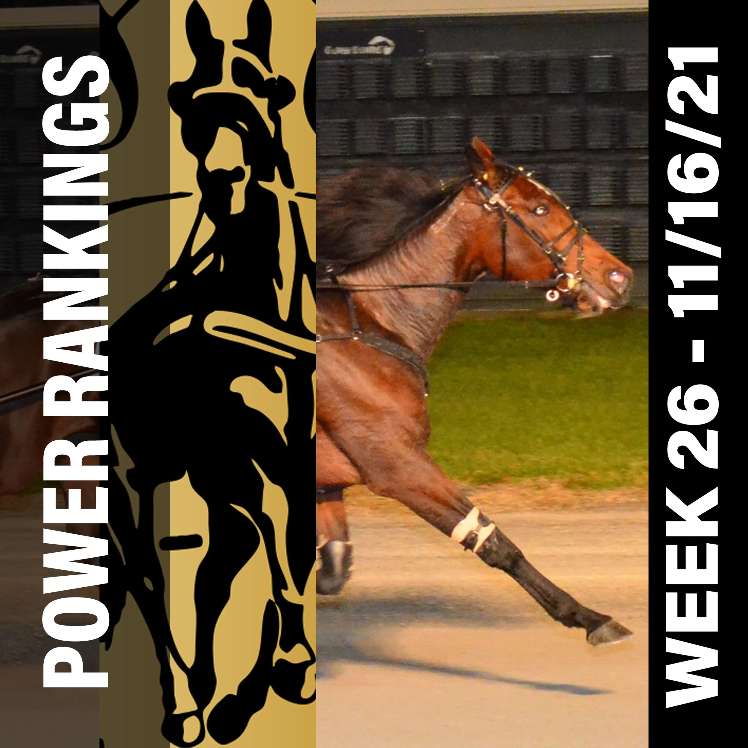  Test Of Faith increases lead in Hambletonian Society/Breeders Crown poll