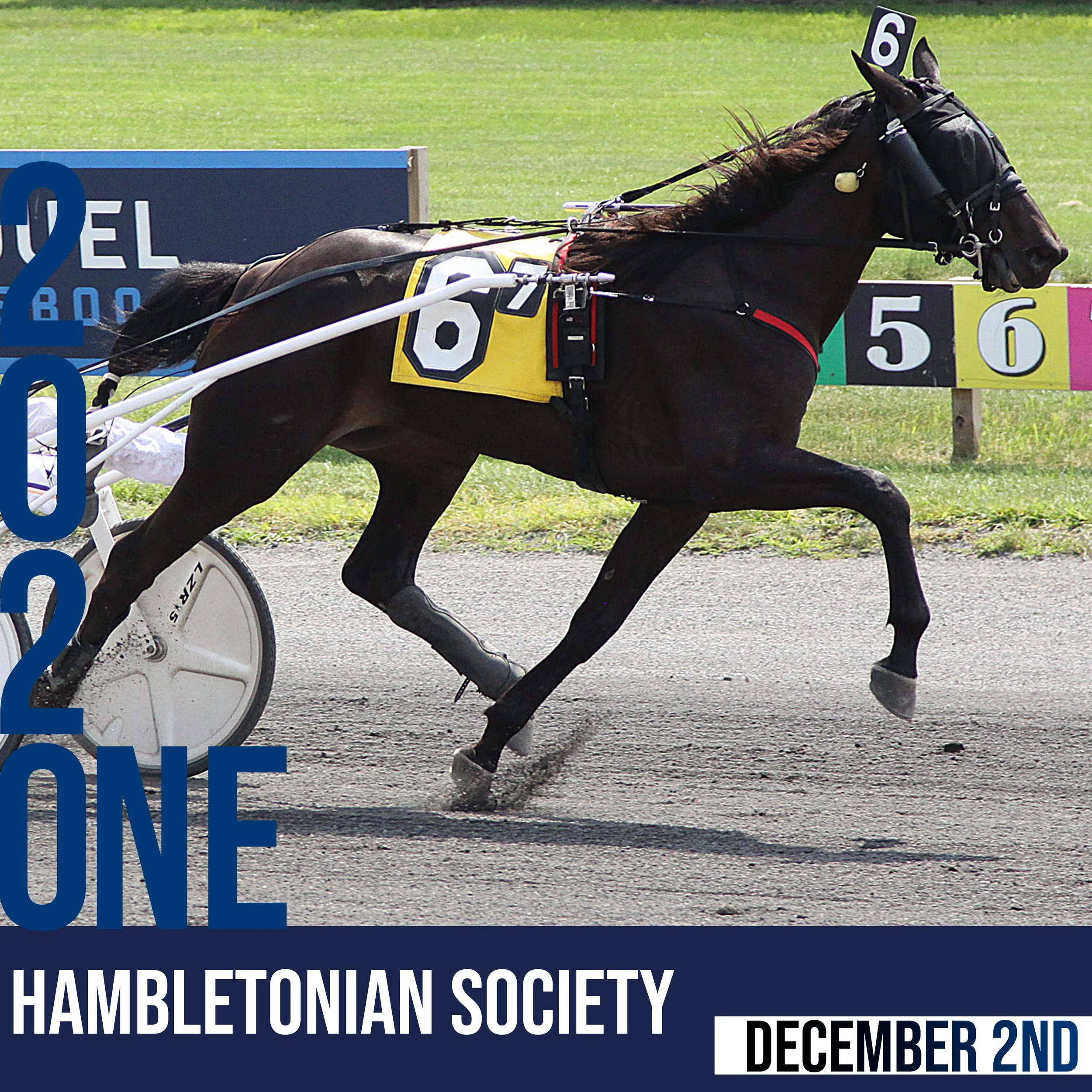 2022 Purse Increase; “Win And You’re In” Status for Doherty &amp; Haughton Stakes