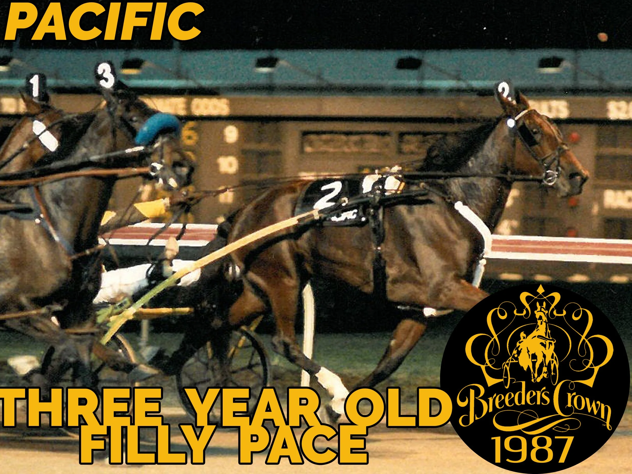 1987 3fp.jpg