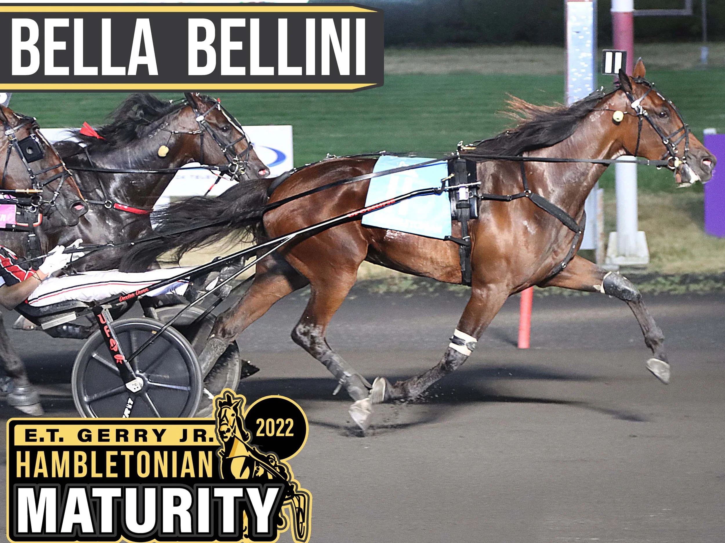 Bella Bellini - 2022