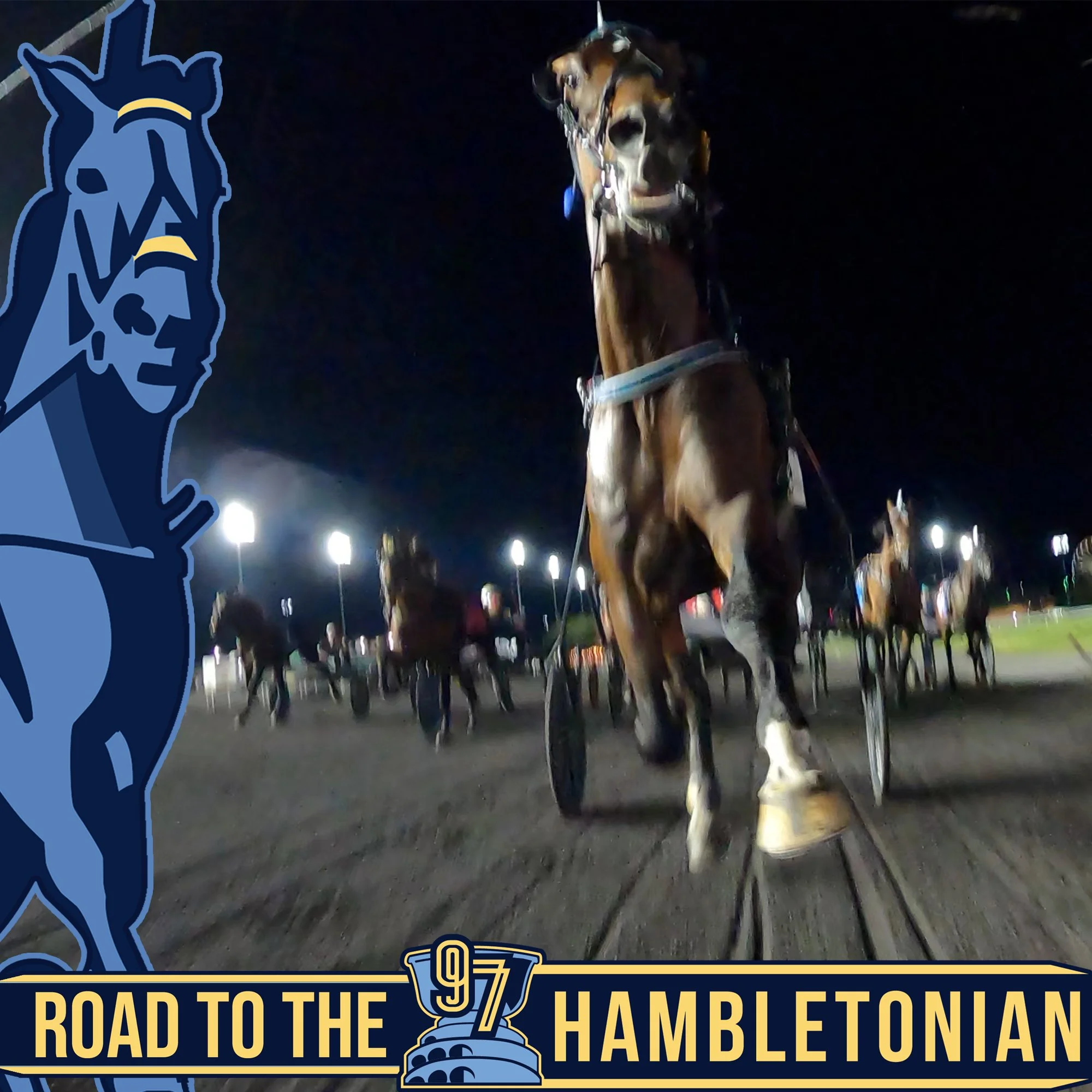 Five trainers seek Hambo-Oaks double