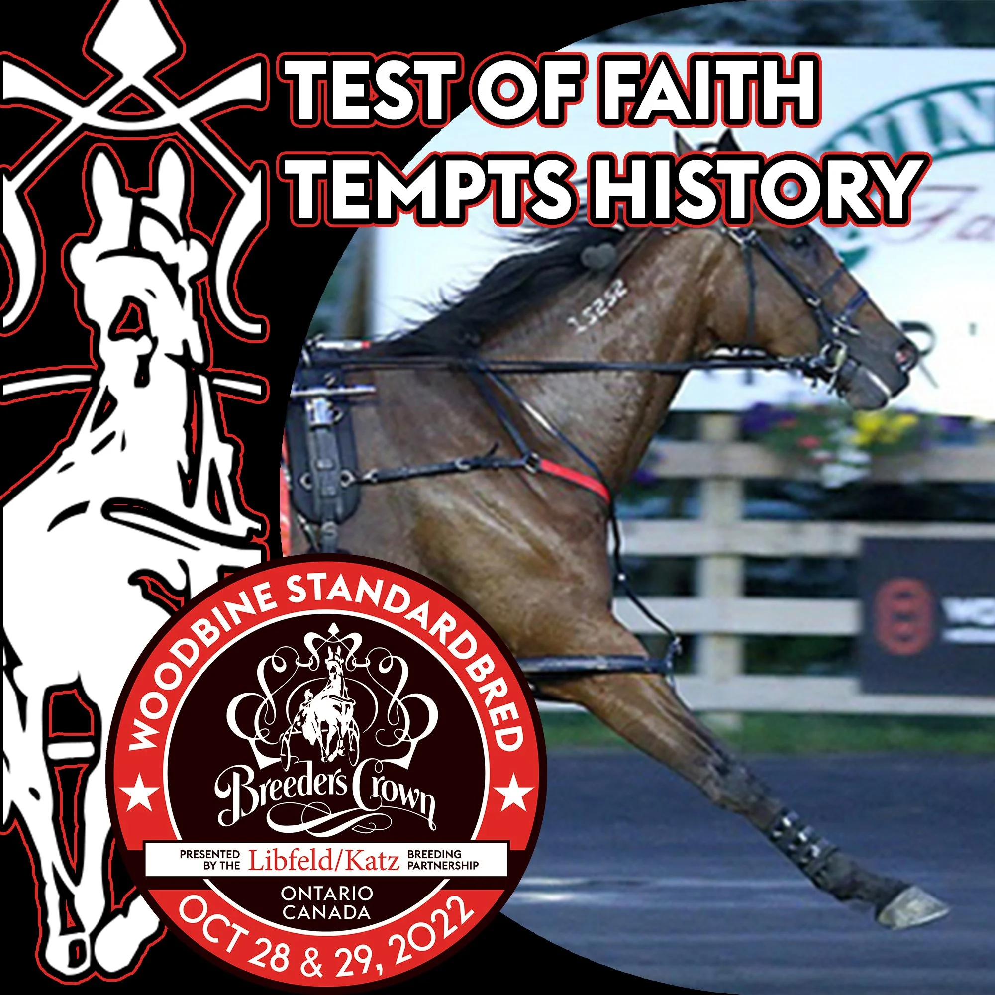 Test of Faith will attempt a historical win in Saturday's Breeders Crown eliminations