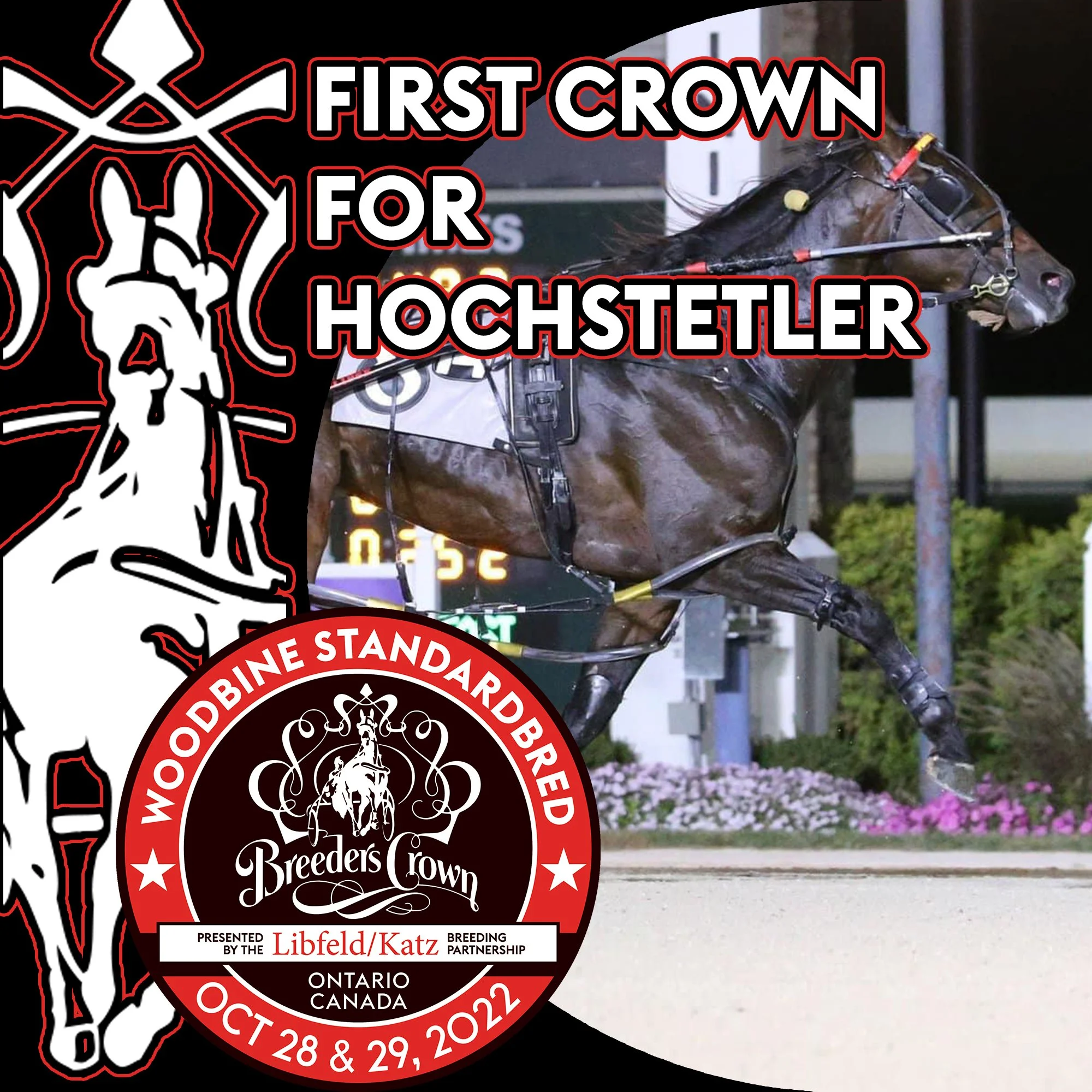 First Breeders Crown for Hochstetler with Ponda Warrior