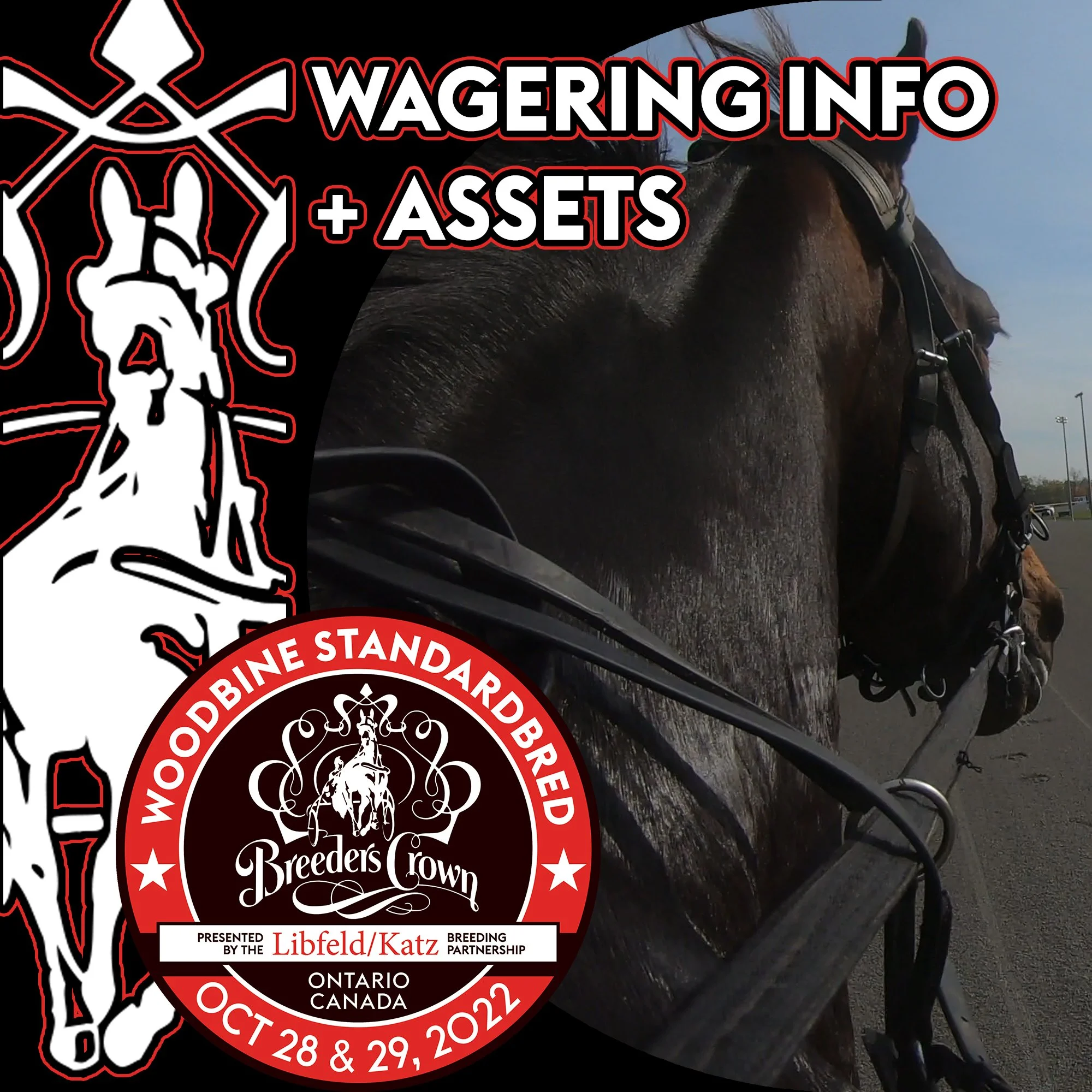 Wagering Information and Assets
