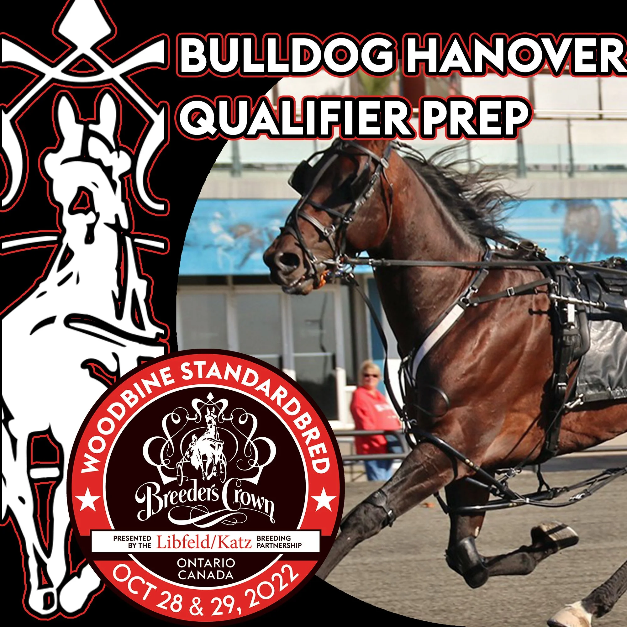 Bulldog Hanover preps for Crown with 1:51.2 qualifier
