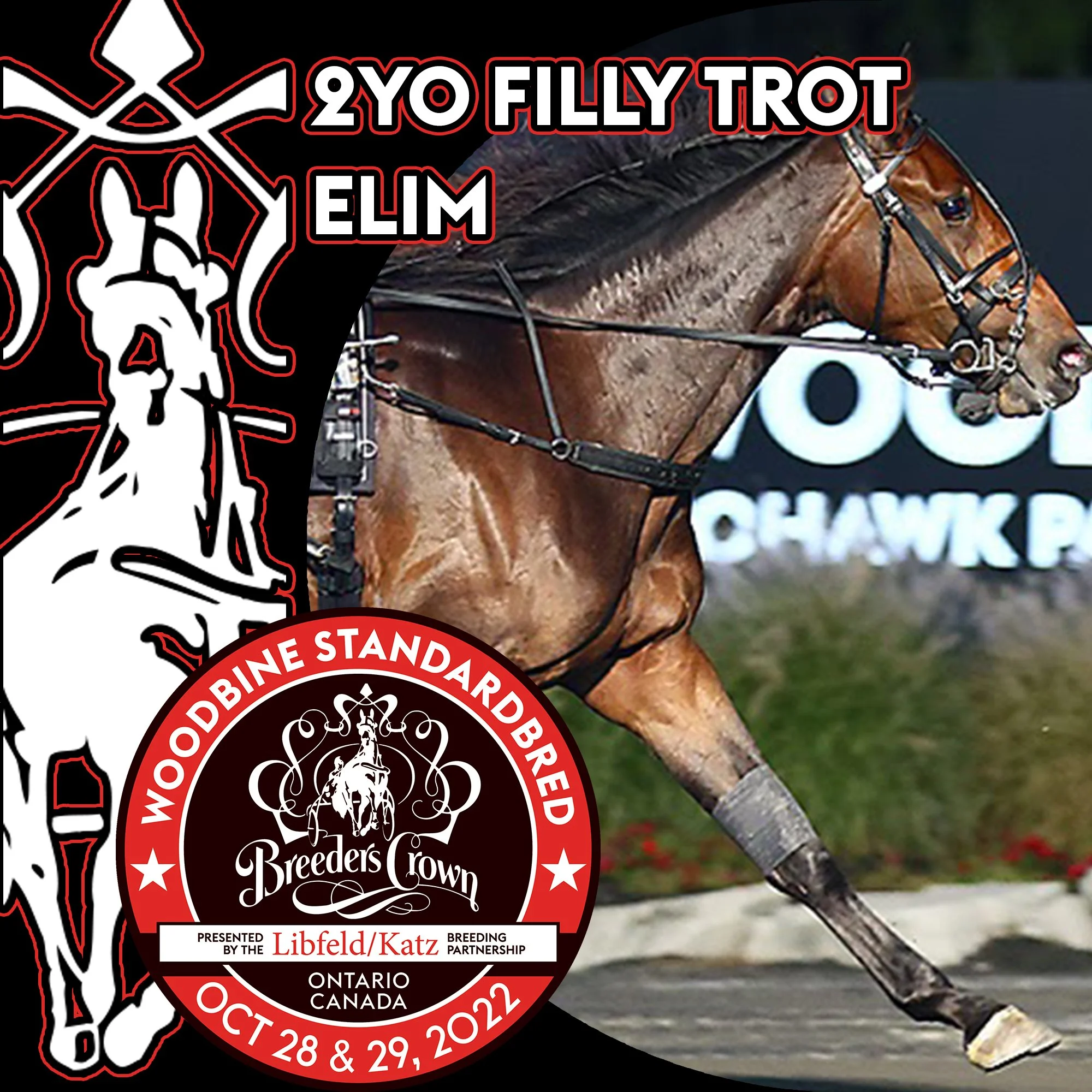 A Special Filly In Breeders Crown Elim For Rookie Trotters