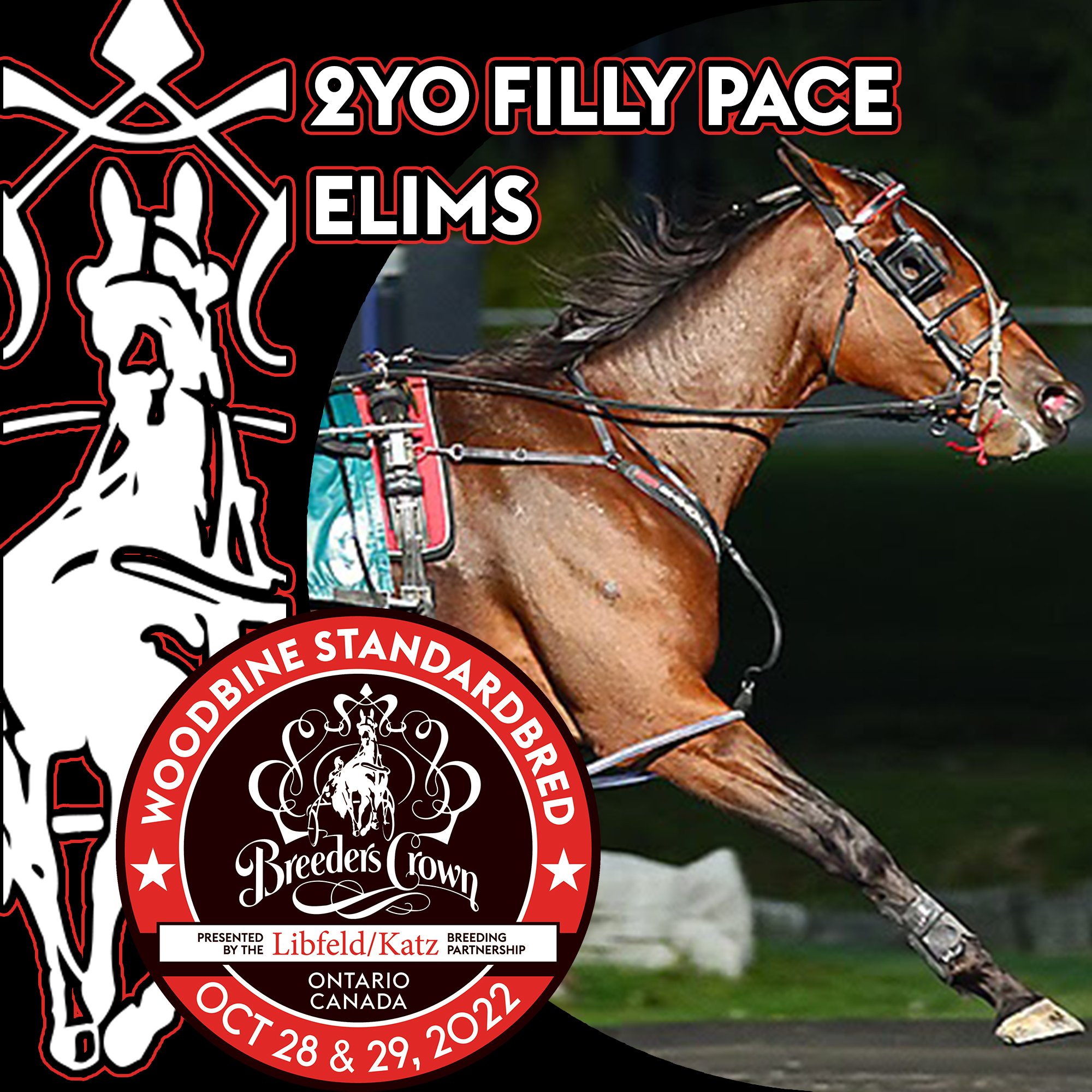 Sylvia Hanover and Charleston take Crown eliminations