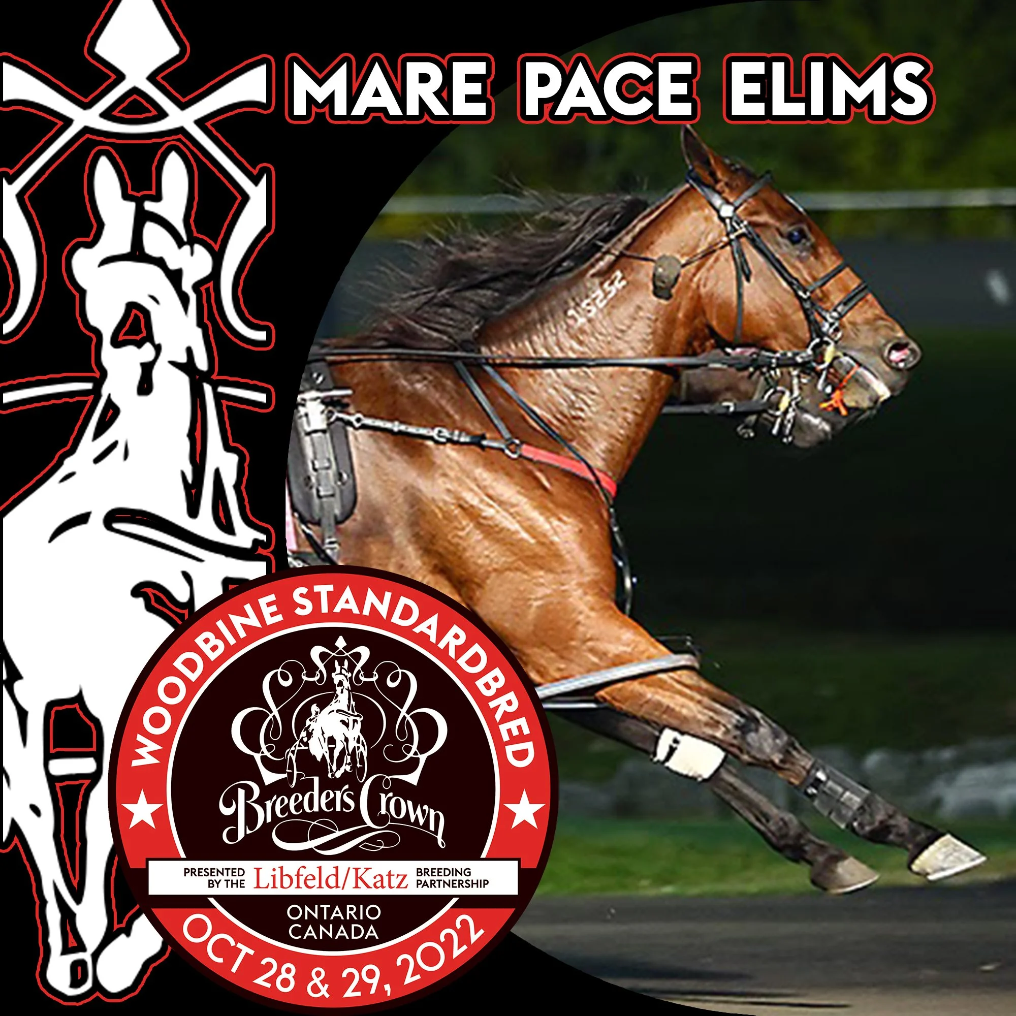 Test Of Faith and Grace Hill take Breeders Crown Mare Pace Eliminations